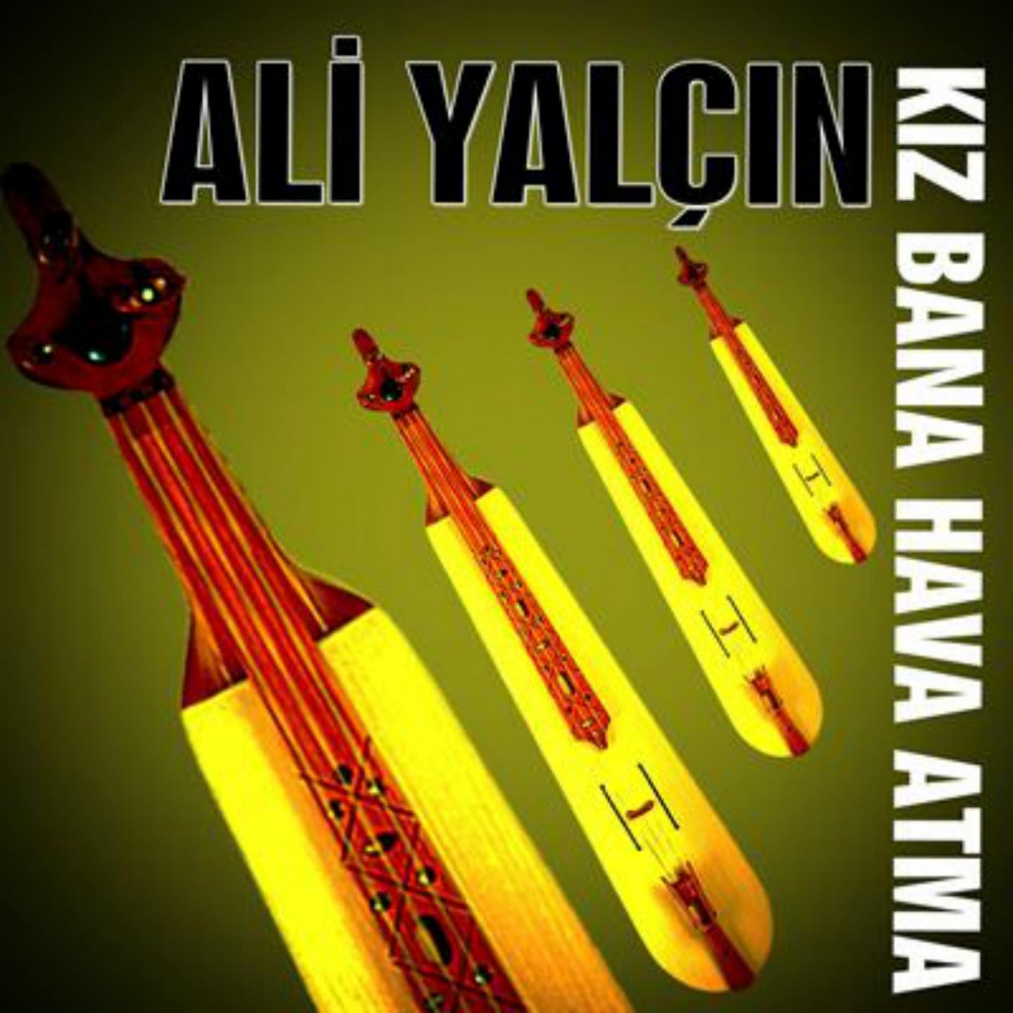 Постер альбома Kız Bana Hava Atma