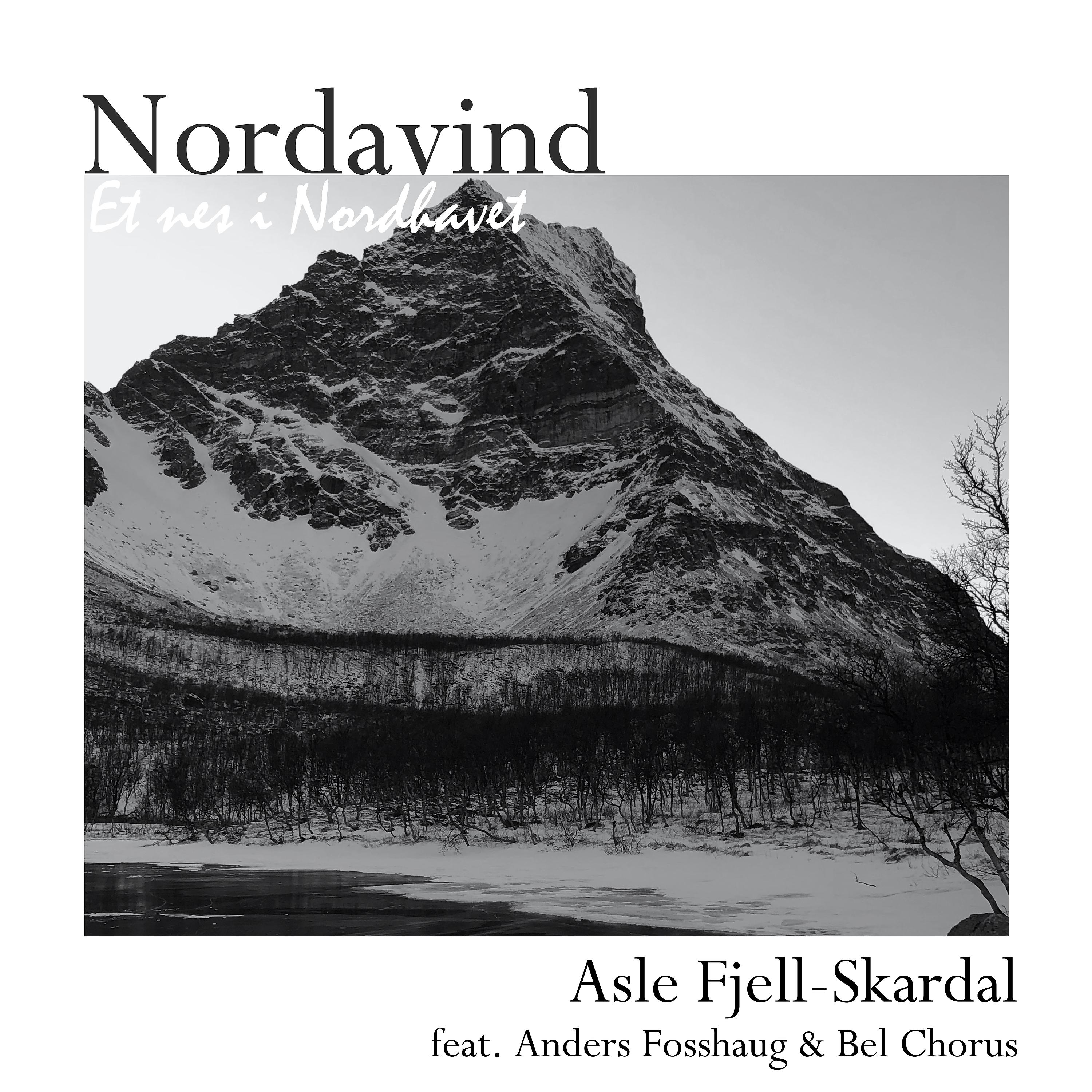 Постер альбома Nordavind