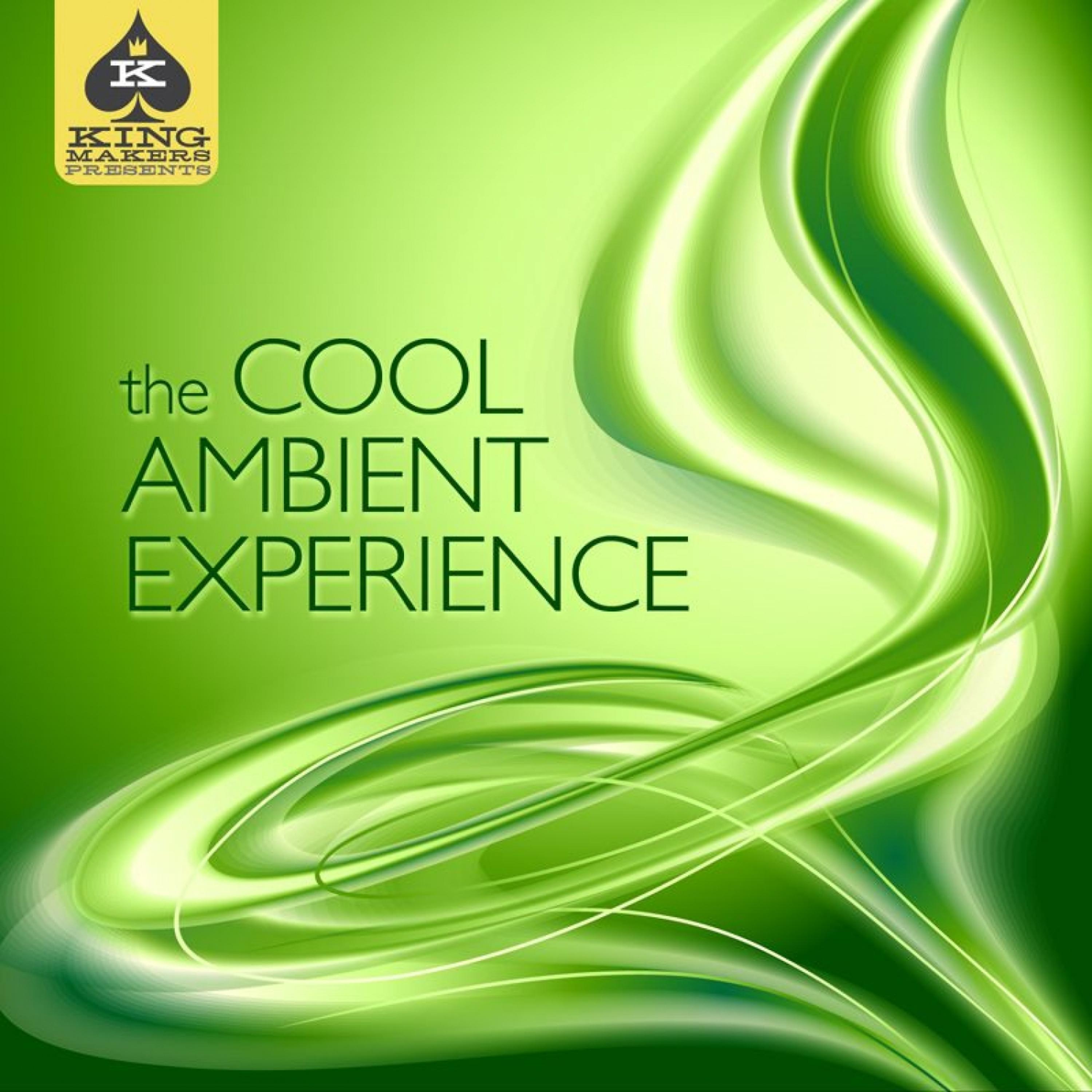 Постер альбома King Makers Presents: The Cool Ambient Experience