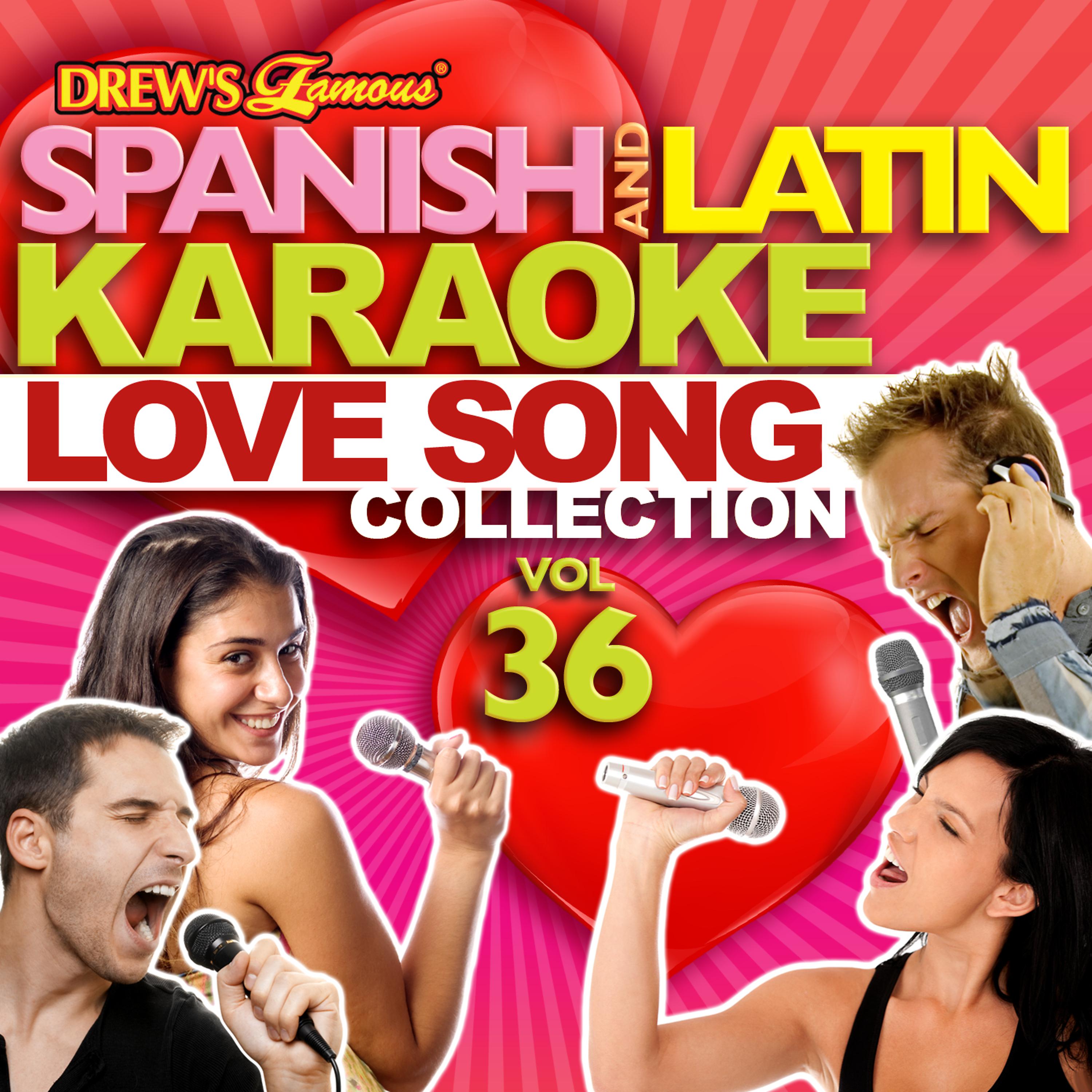 Постер альбома Spanish And Latin Karaoke Love Song Collection, Vol. 36