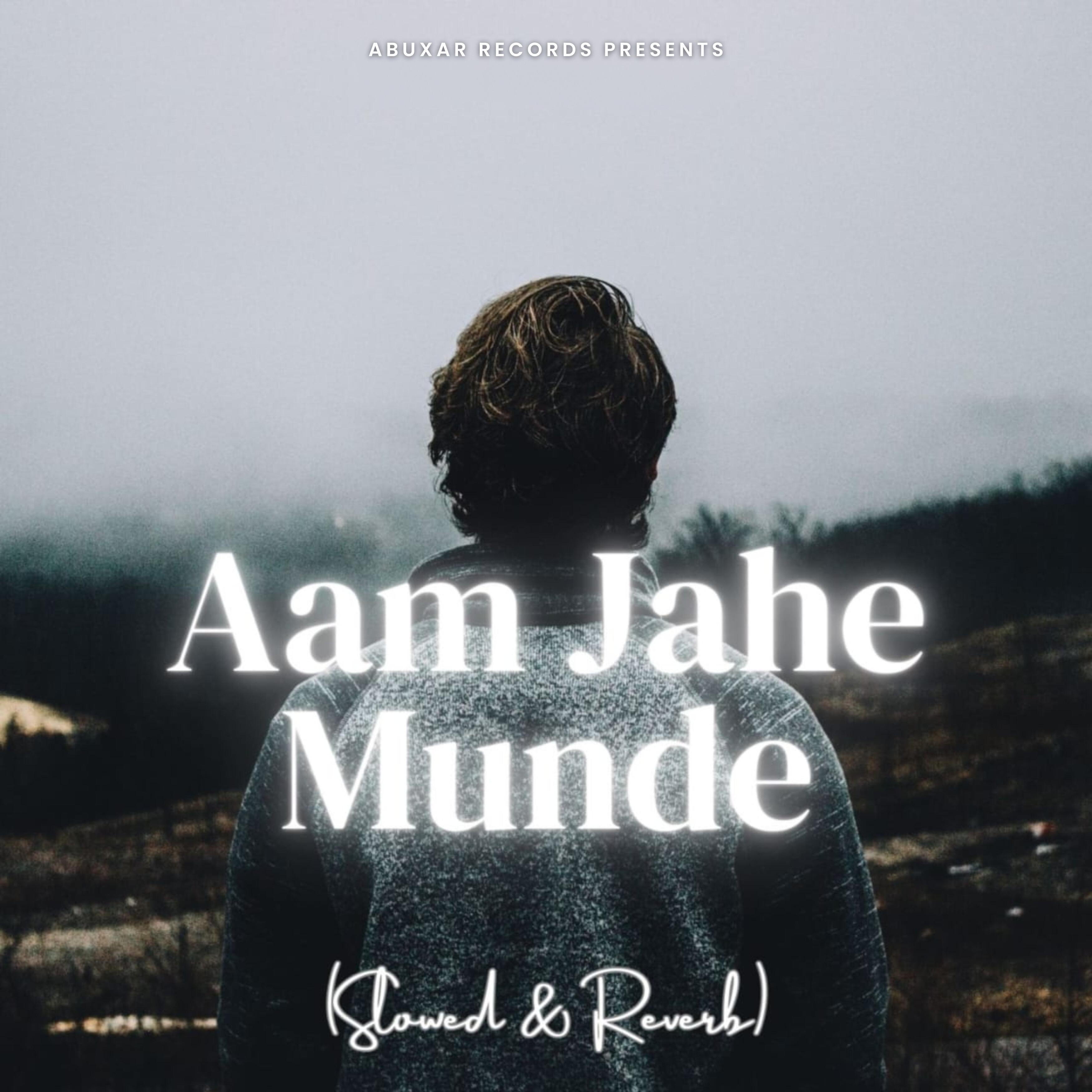 Постер альбома Aam Jahe Munde (Slowed & Reverb)