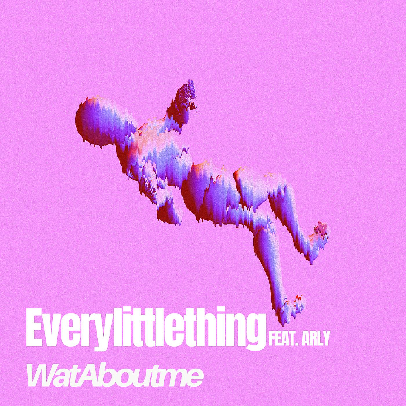 Постер альбома Everylittlething