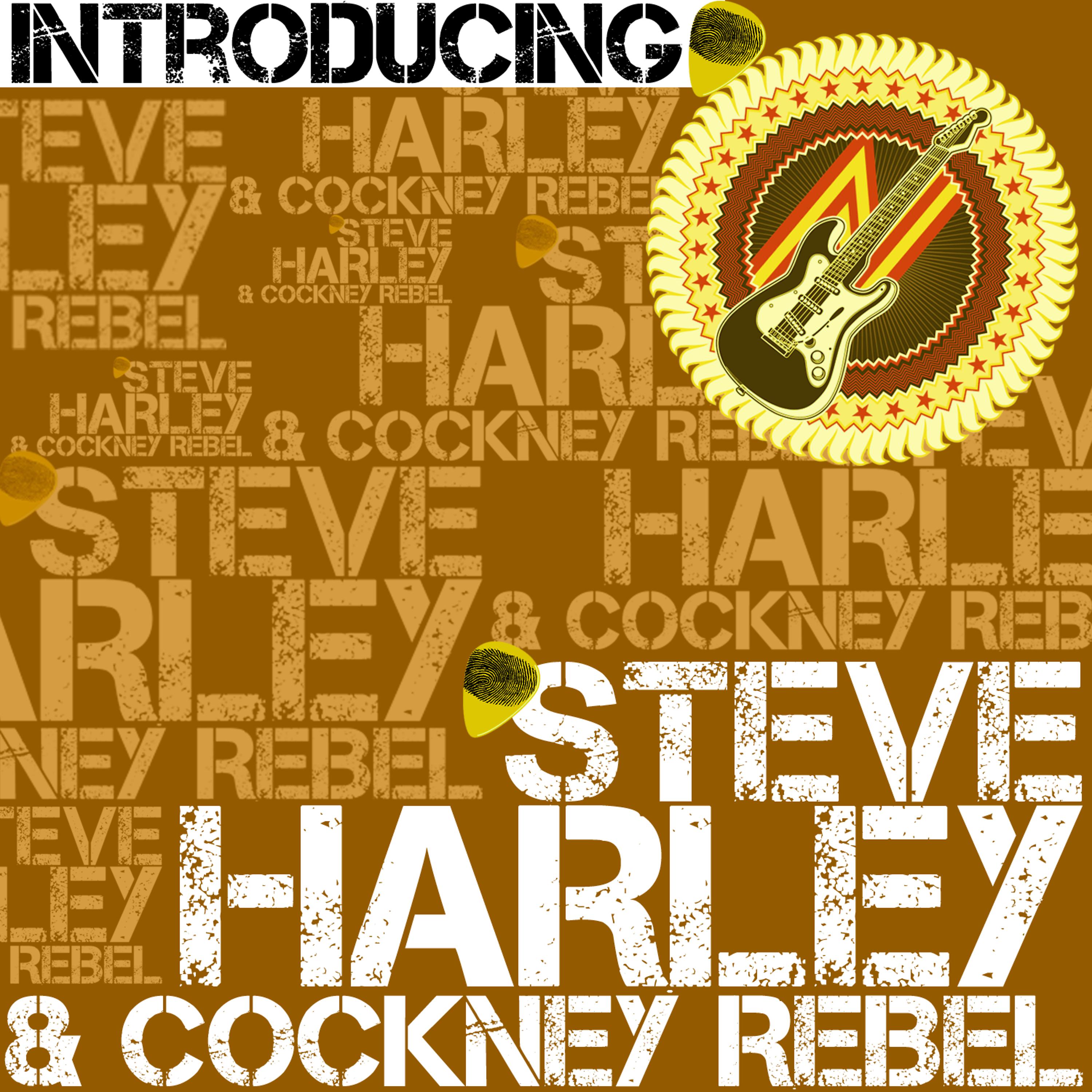 Постер альбома Introducing Steve Harley & Cockney Rebel (Live)