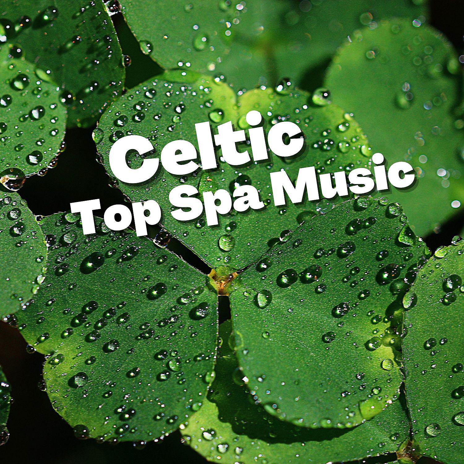 Постер альбома Celtic Top Spa Music
