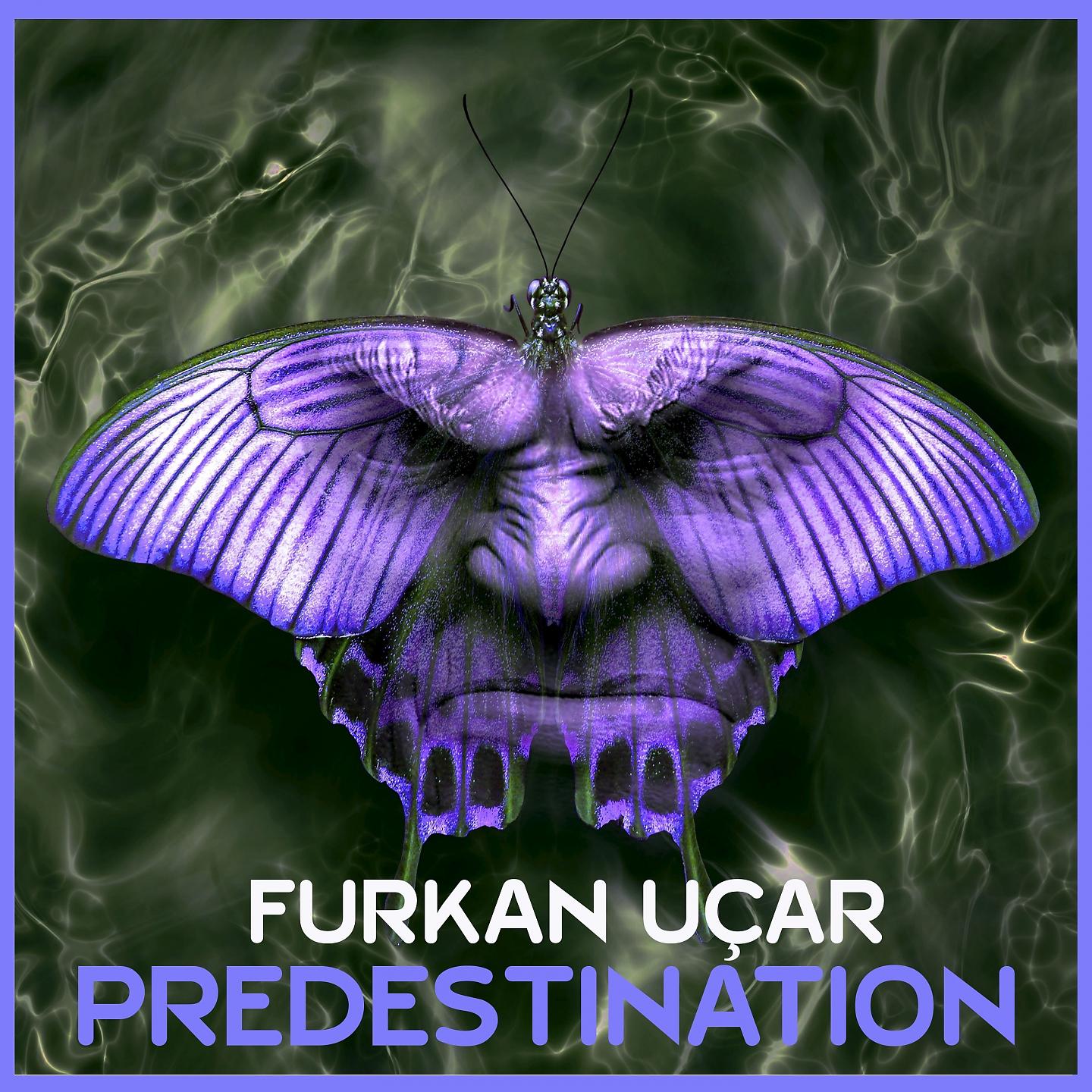 Постер альбома Predestination