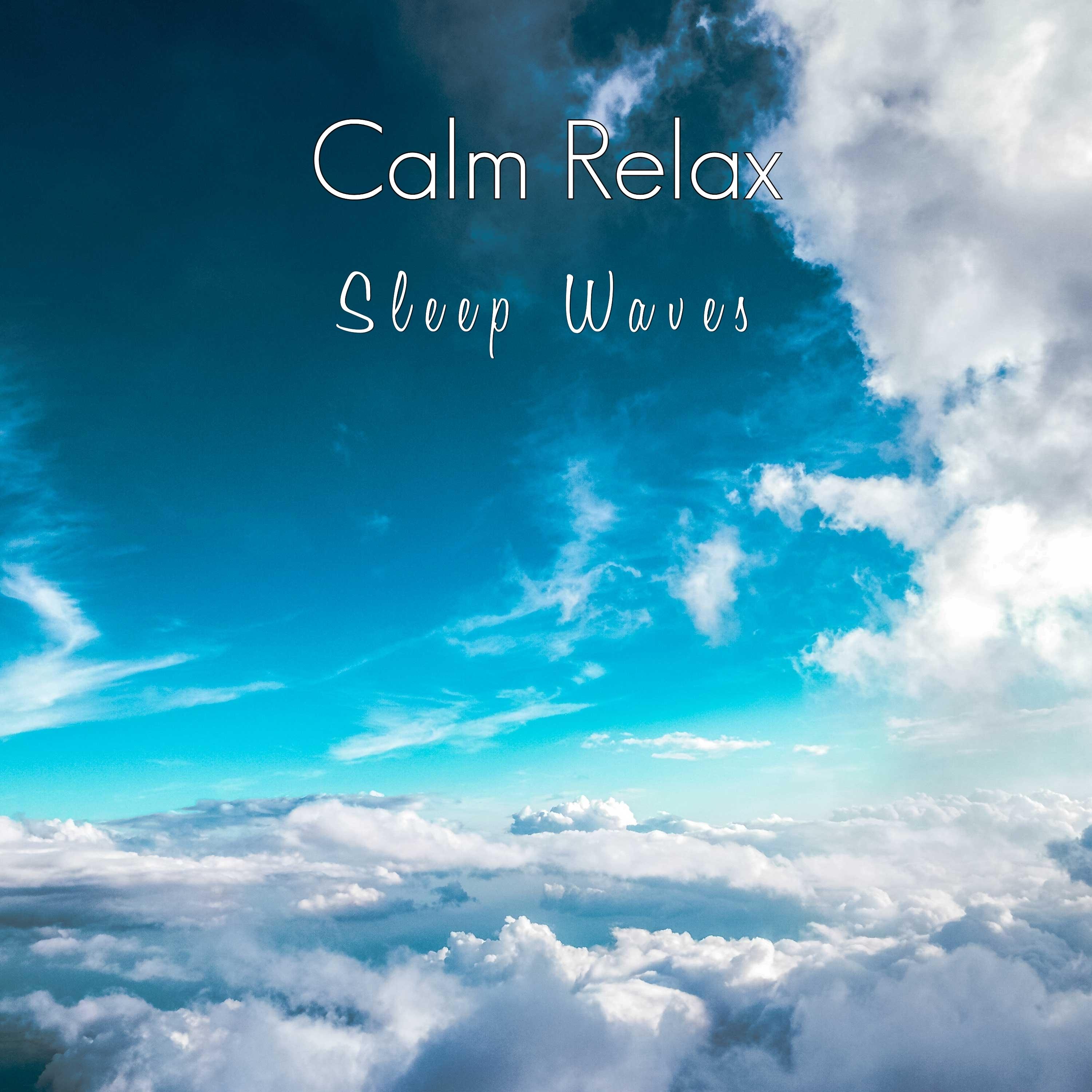 Постер альбома Sleep Waves