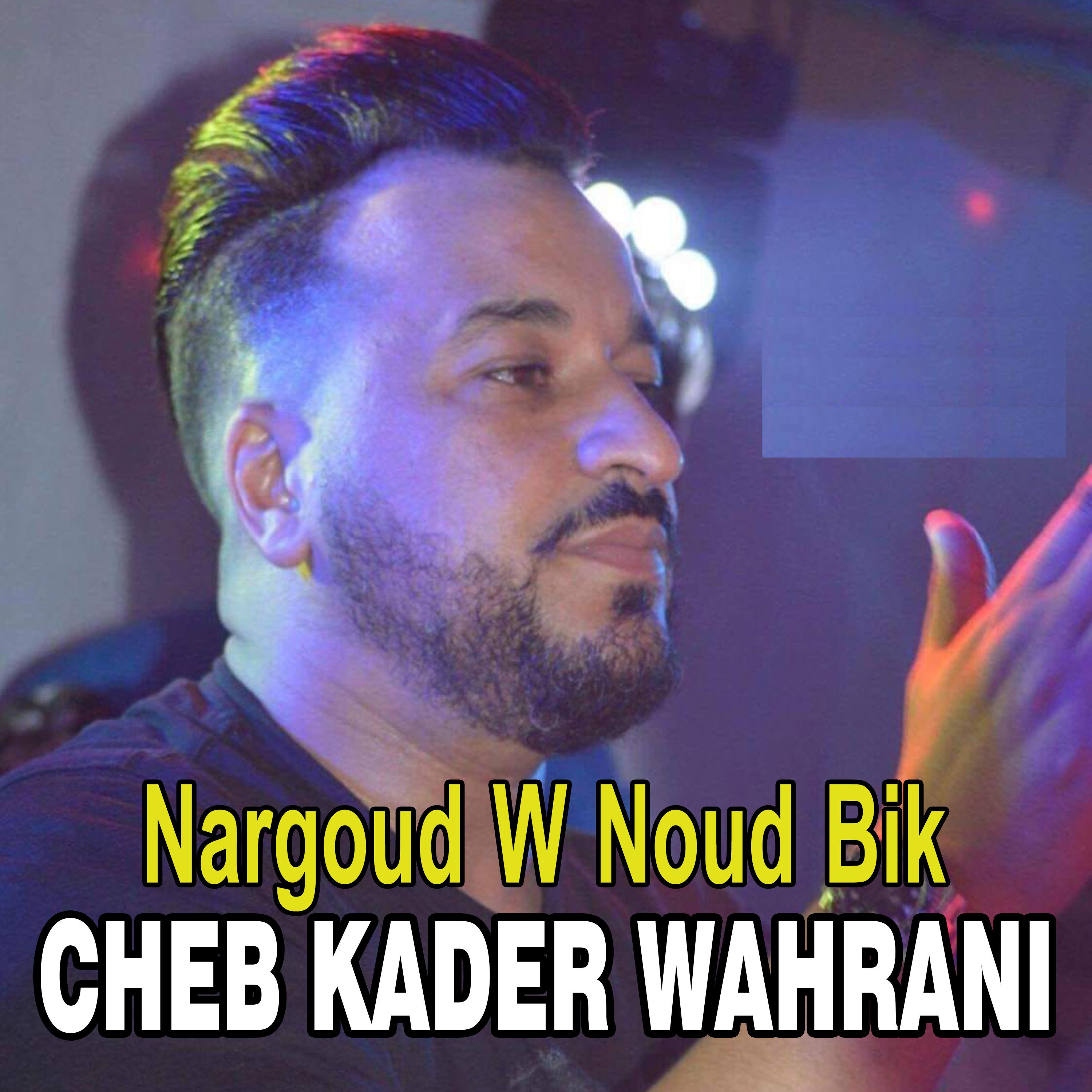 Постер альбома Nargoud W Noud Bik