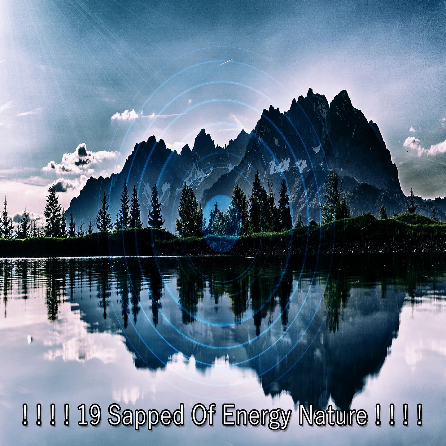 Постер альбома ! ! ! ! 19 Истощенная энергия природы! ! ! !