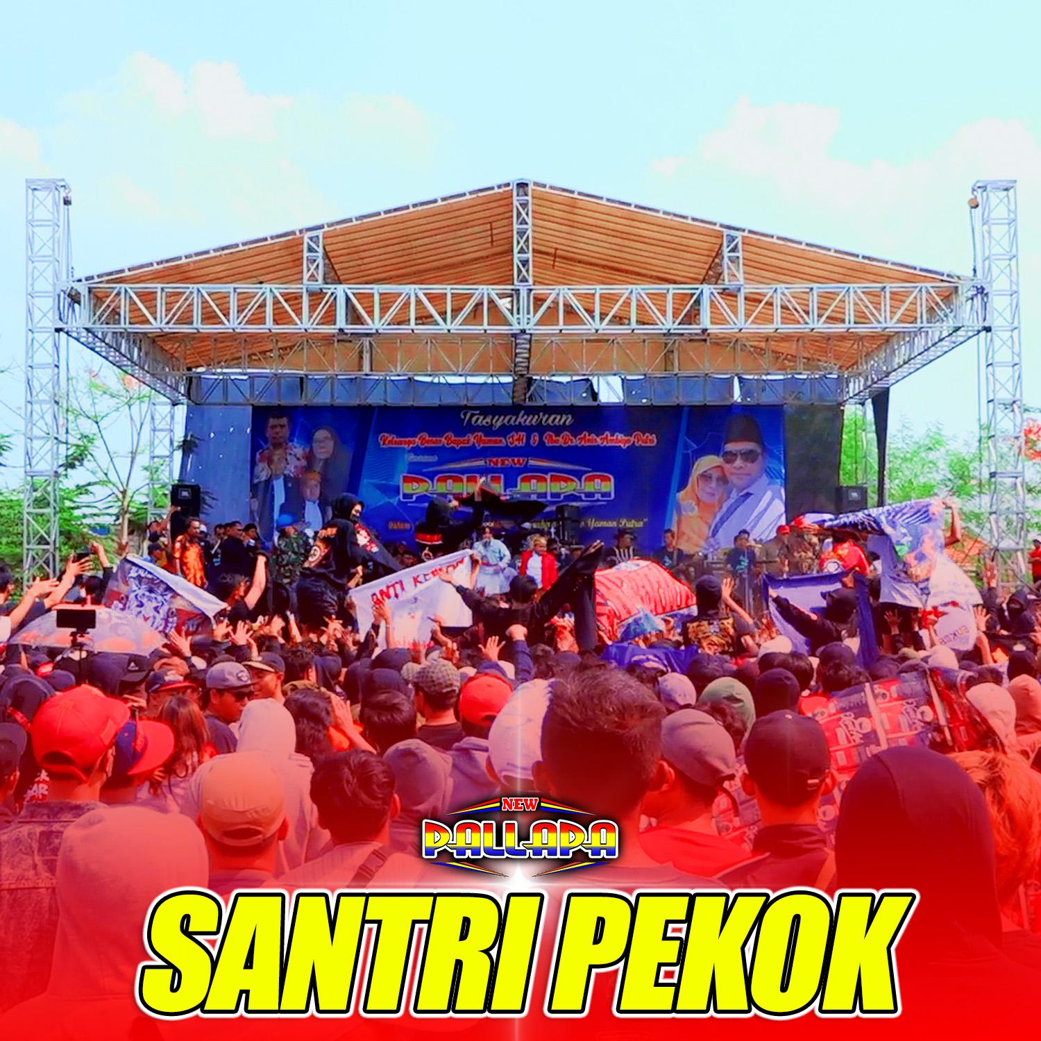 Постер альбома Santri Pekok