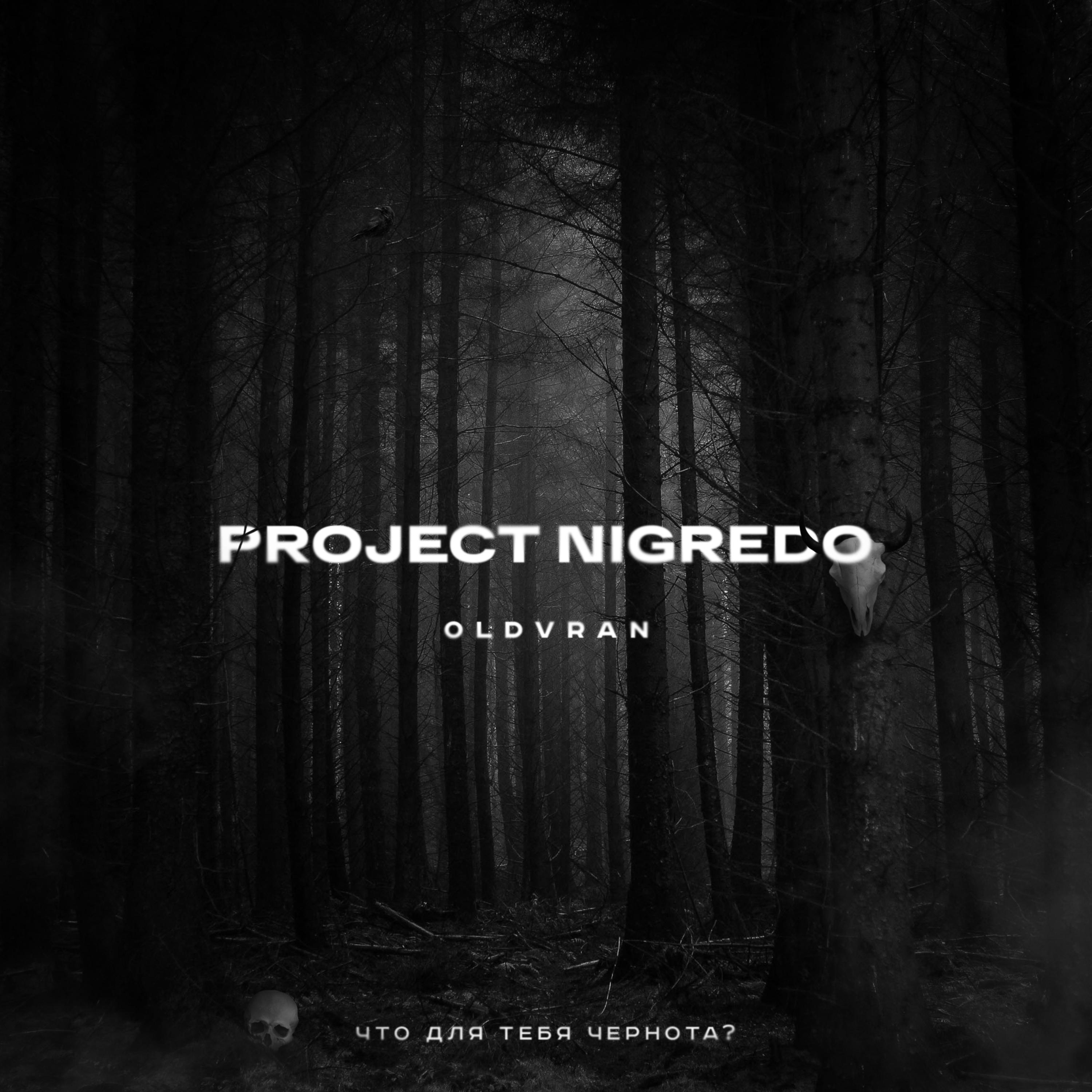 Постер альбома Project Nigredo