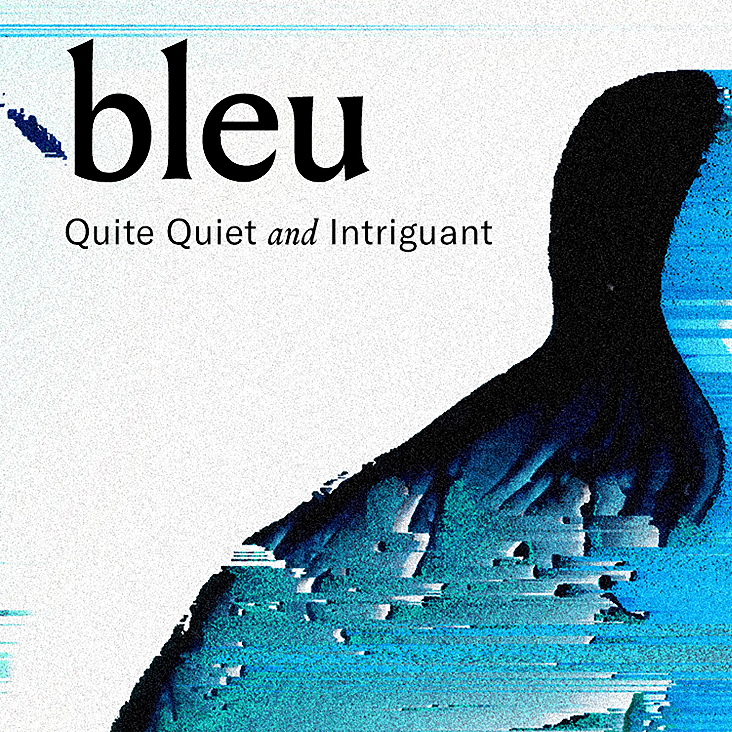 Постер альбома bleu