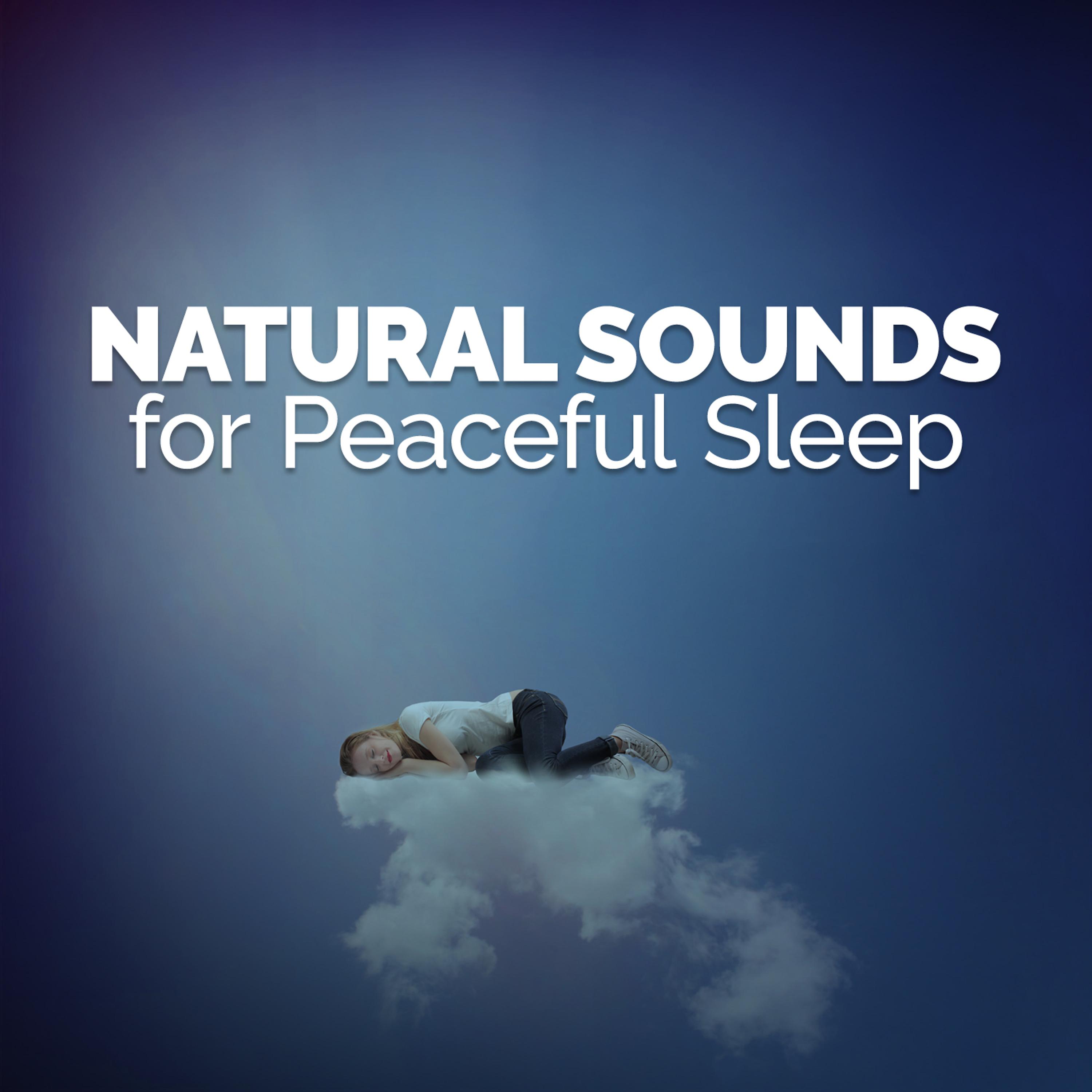 Постер альбома Natural Sounds for Peaceful Sleep