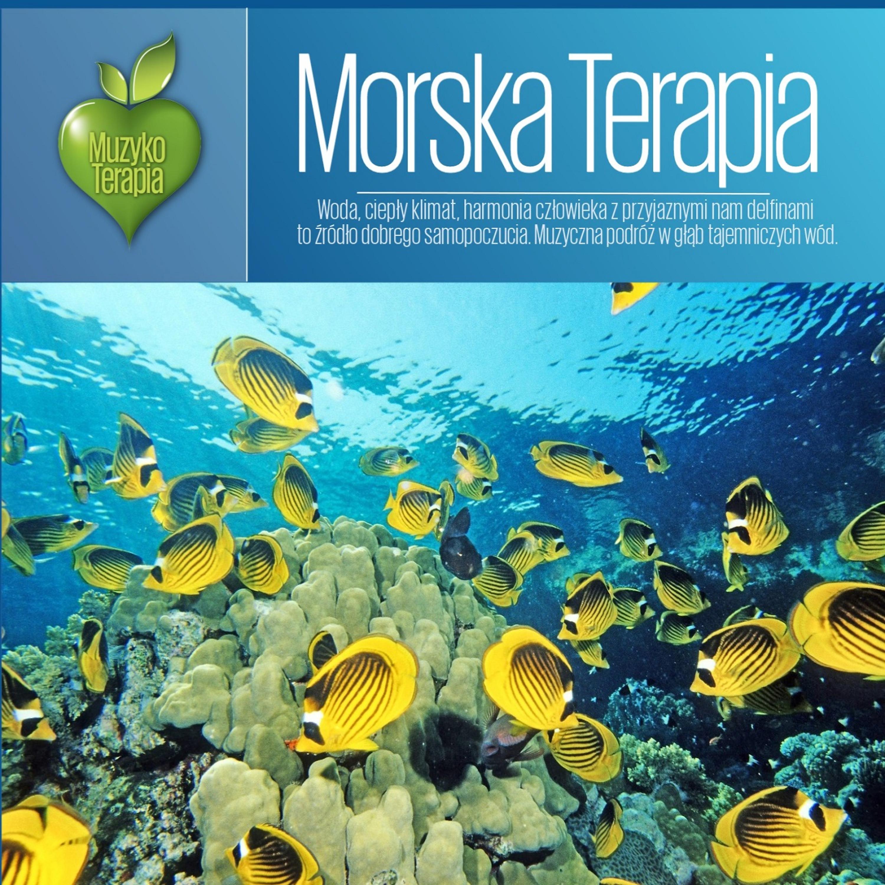 Постер альбома Muzykoterapia - Morska Terapia