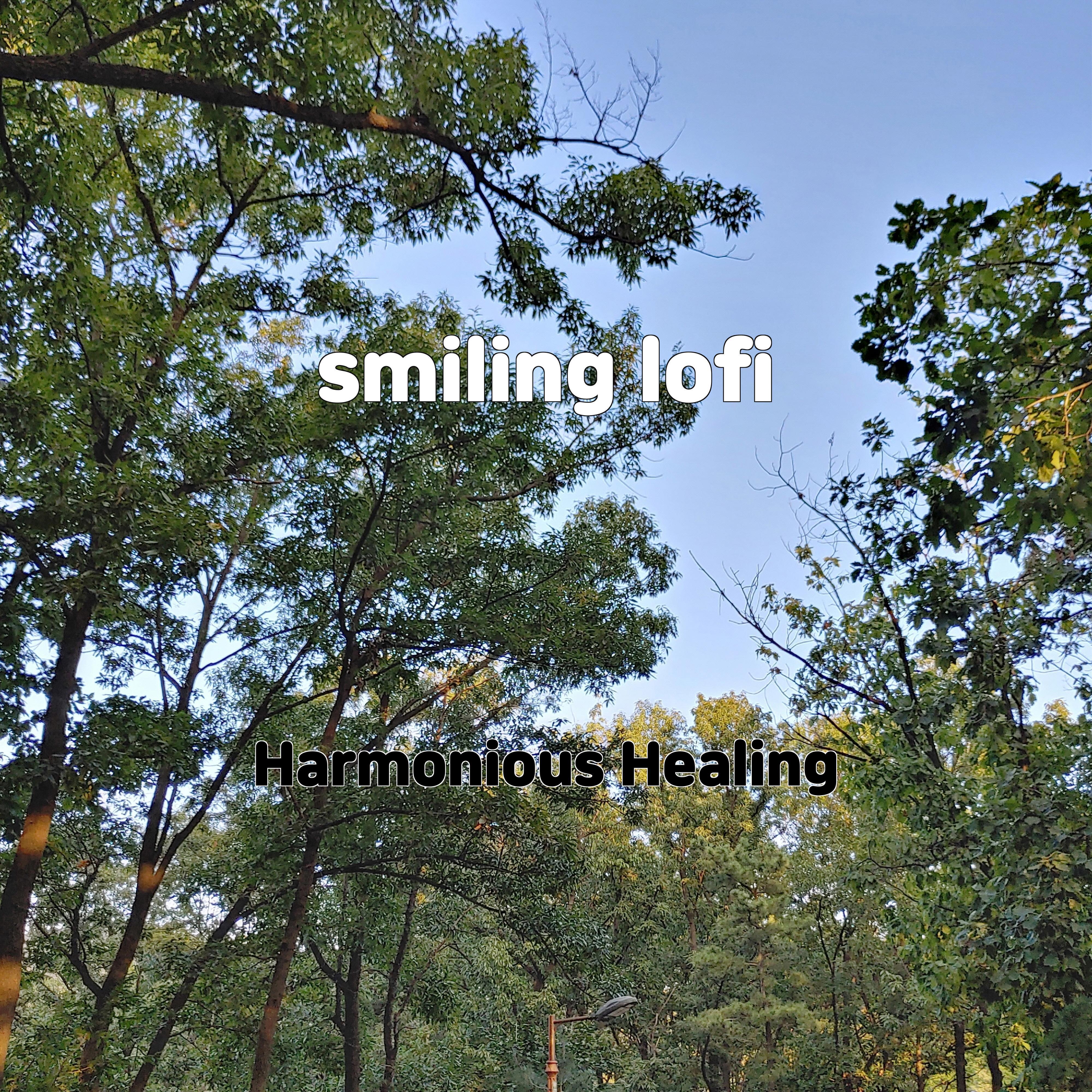 Постер альбома smiling lofi