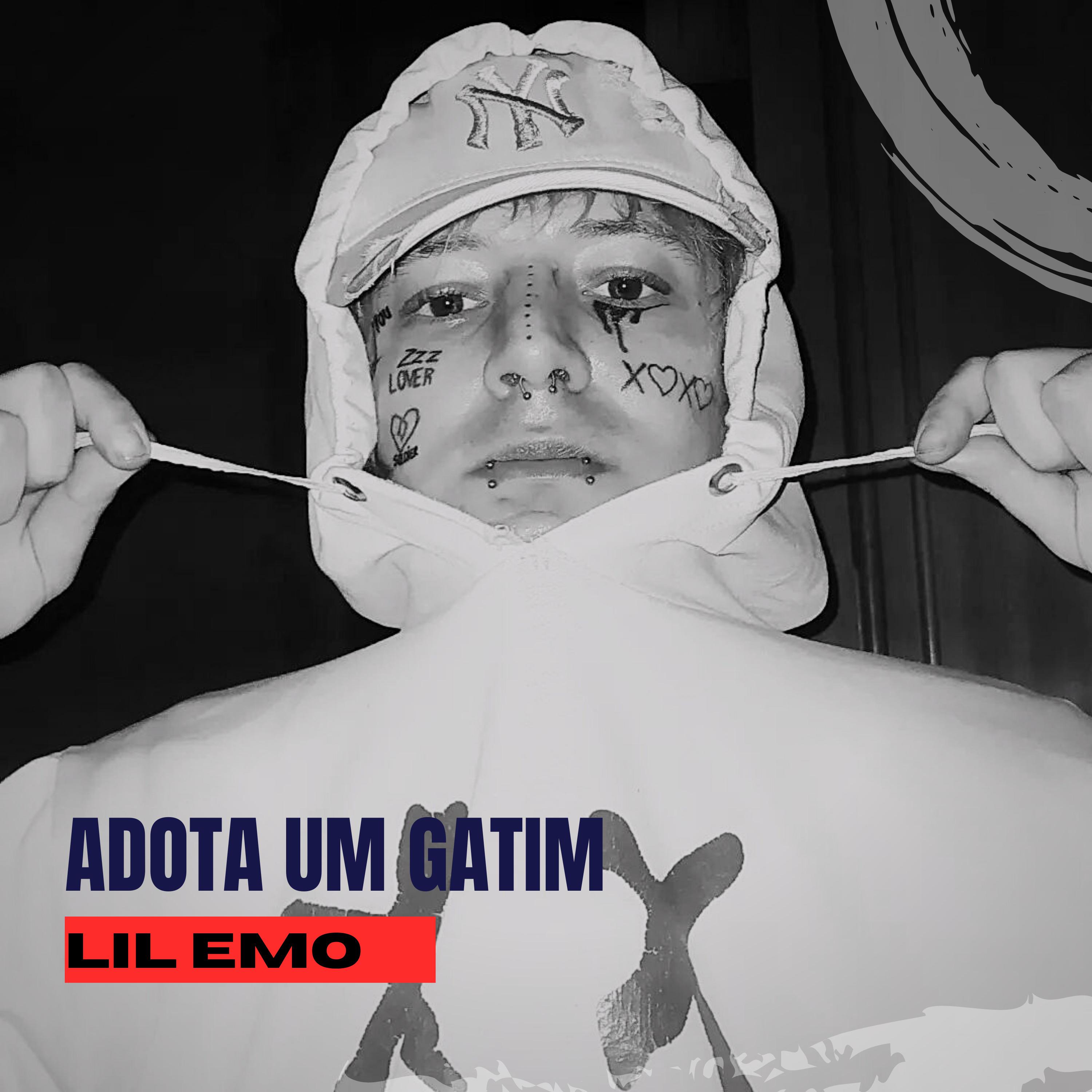 Постер альбома Adota um Gatim