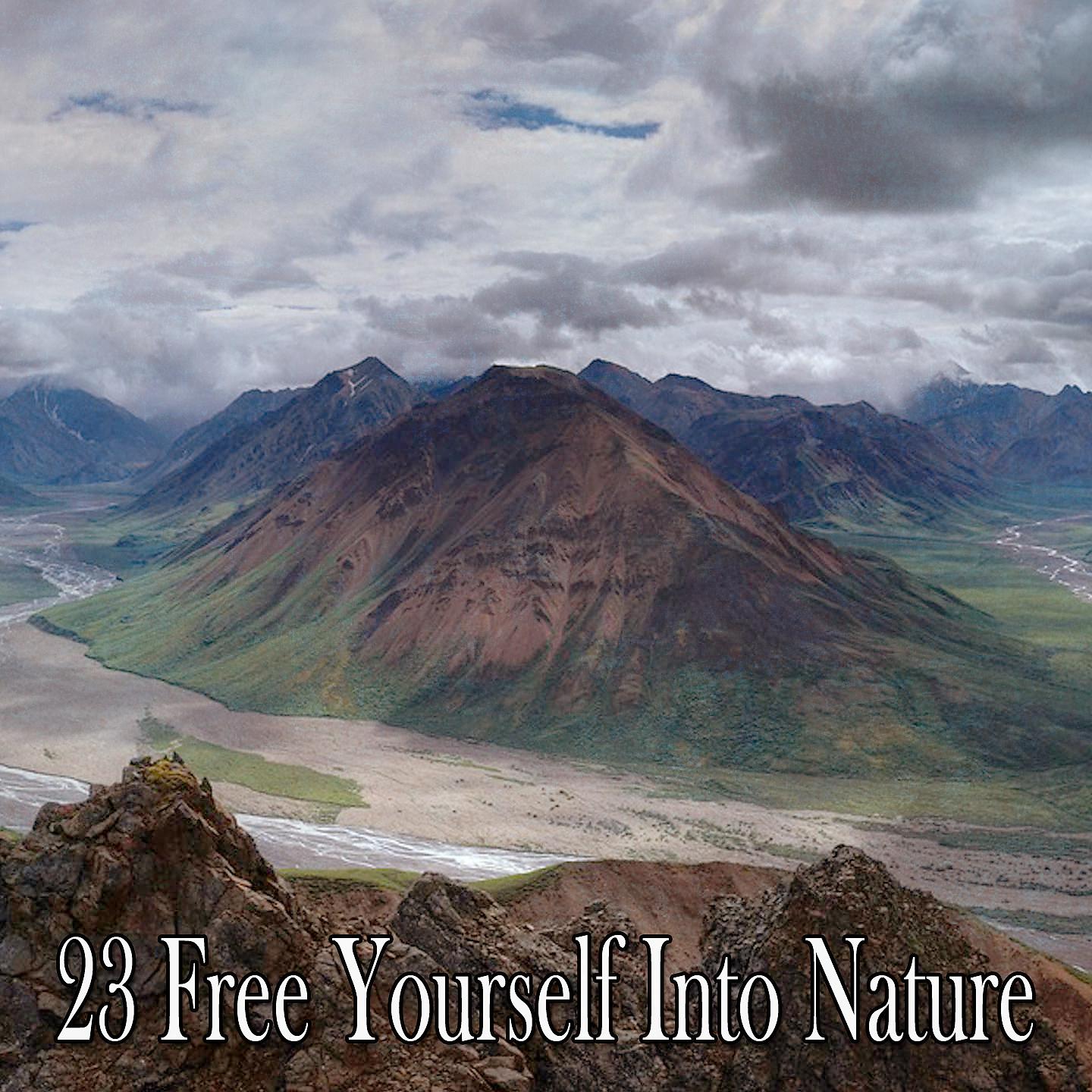 Постер альбома 23 Освободитесь в природе