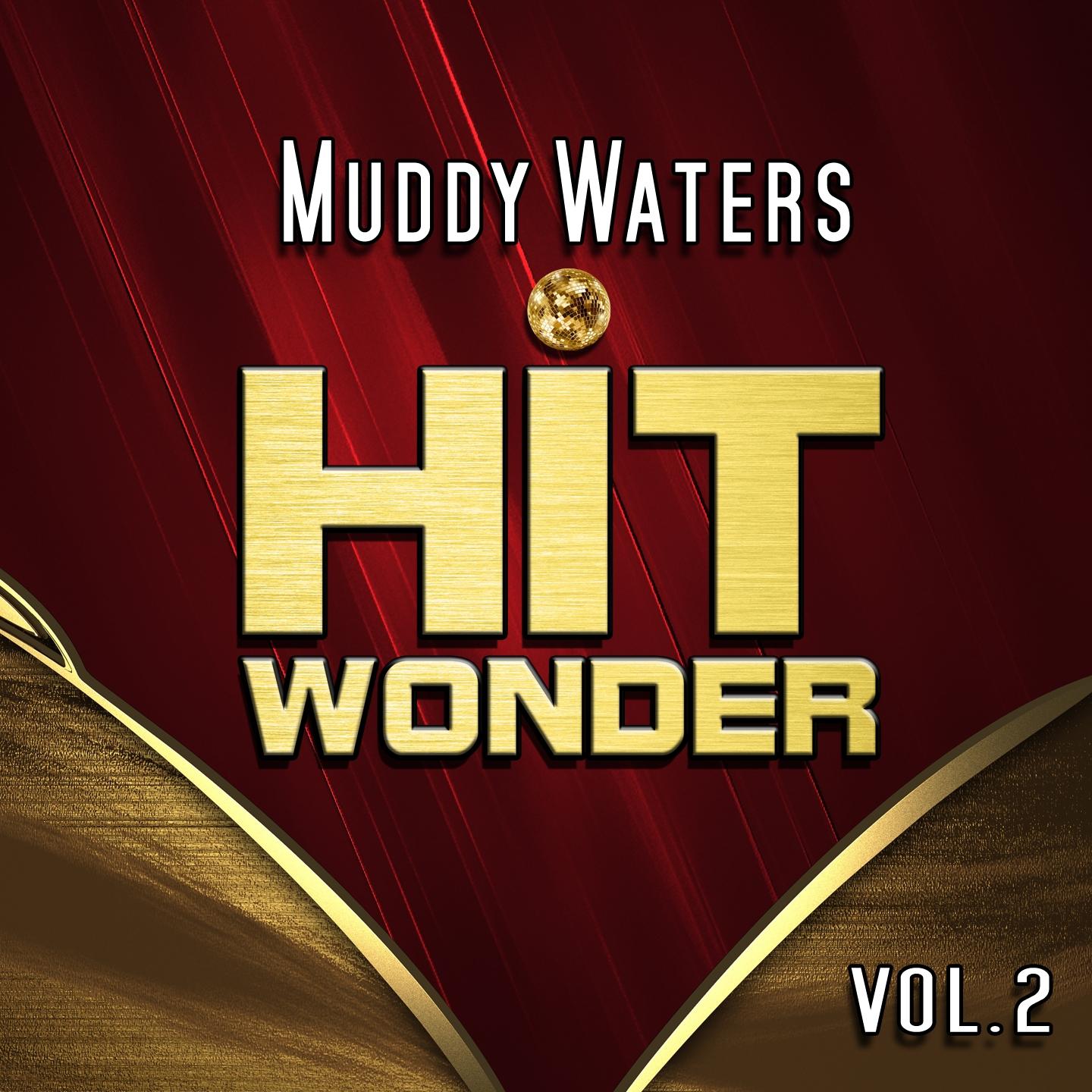 Постер альбома Hit Wonder: Muddy Waters, Vol. 2