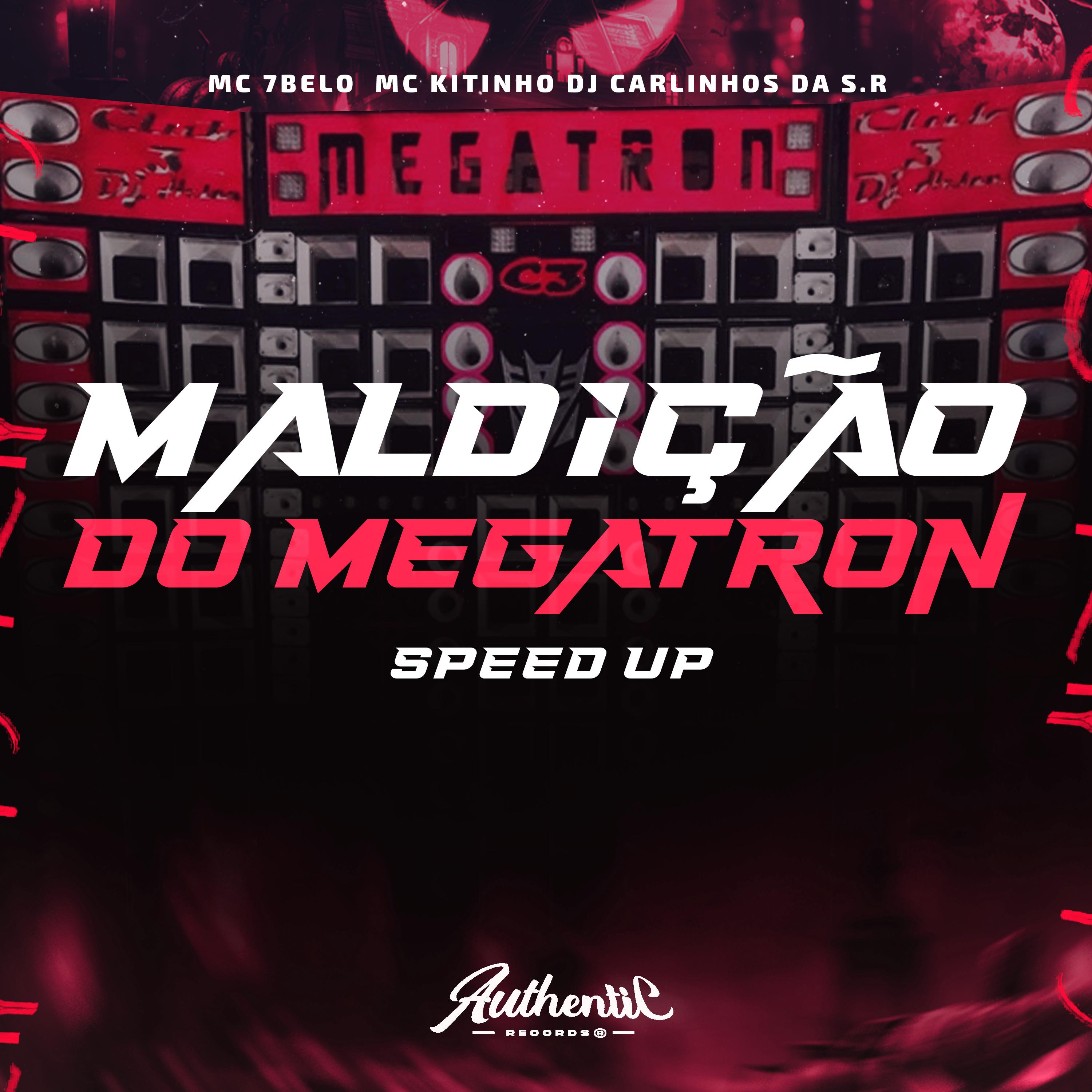 Постер альбома Maldição do Megatron (Speed Up)