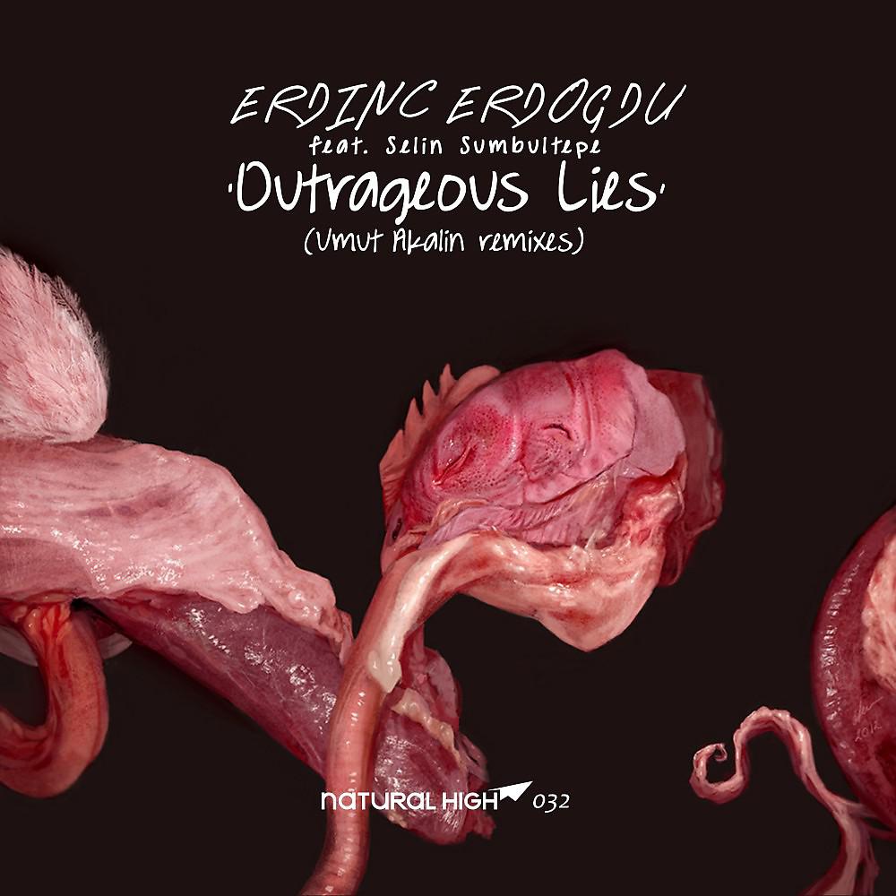 Постер альбома Outrageous Lies (Umut Akalin Remixes)