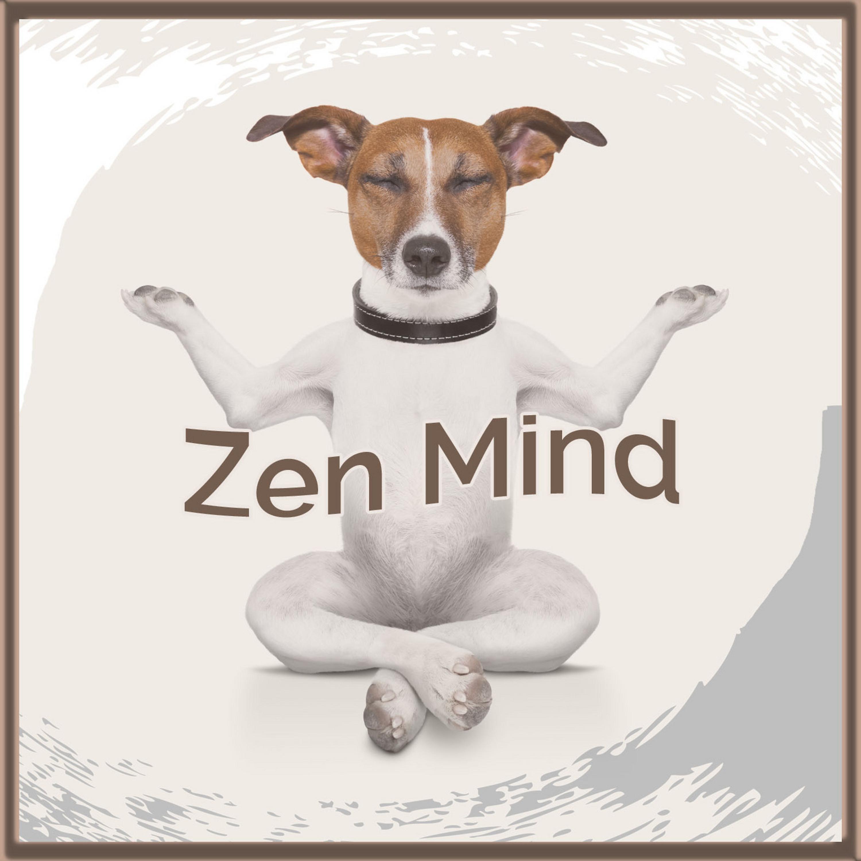 Постер альбома Zen Mind