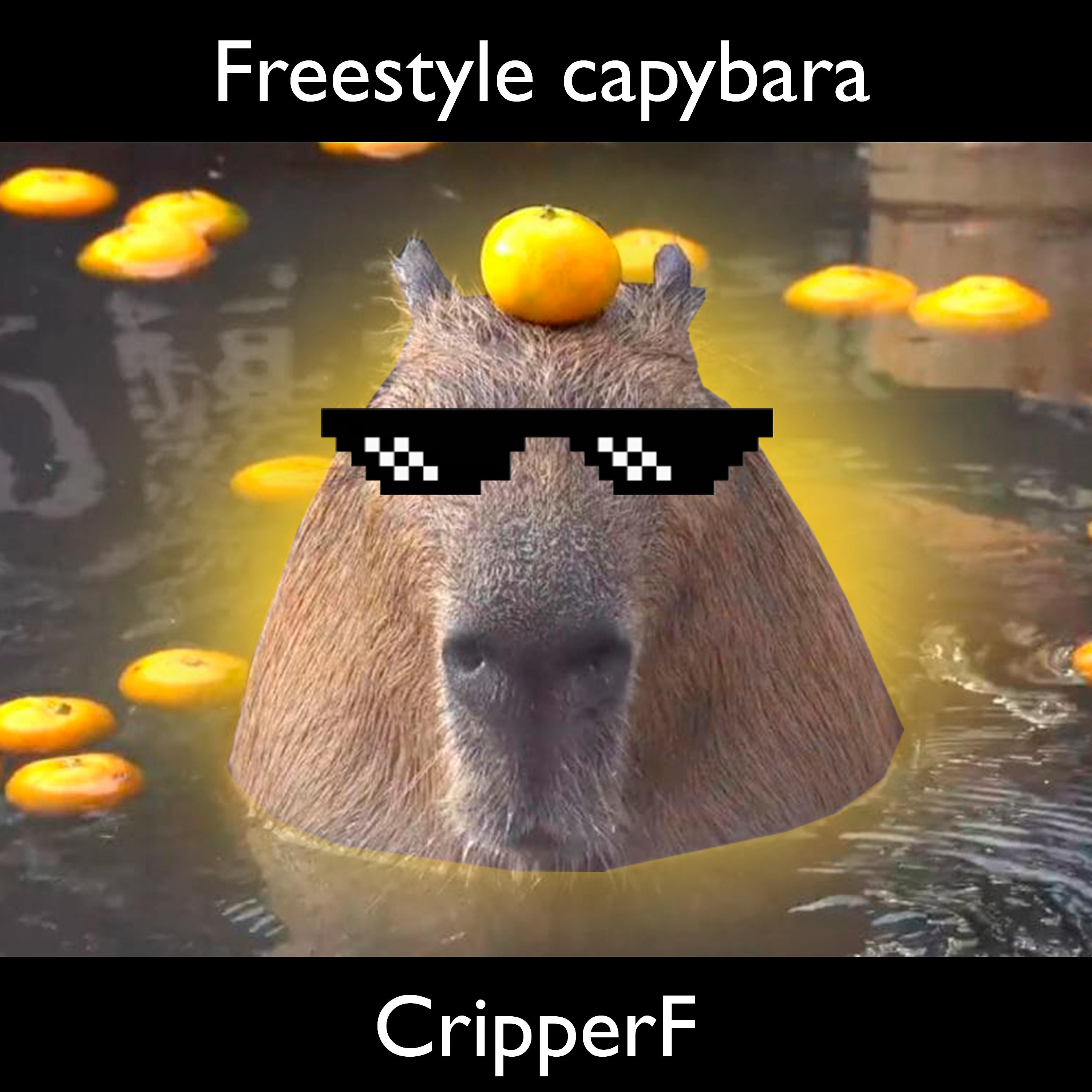 Постер альбома Freestyle Capybara