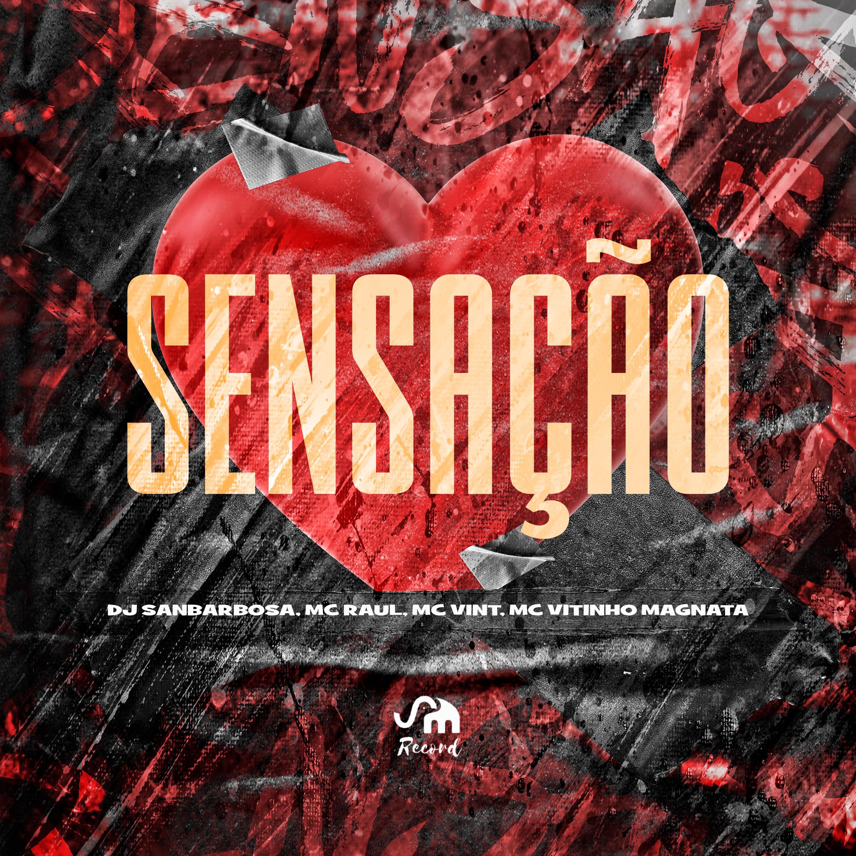 Постер альбома Sensação