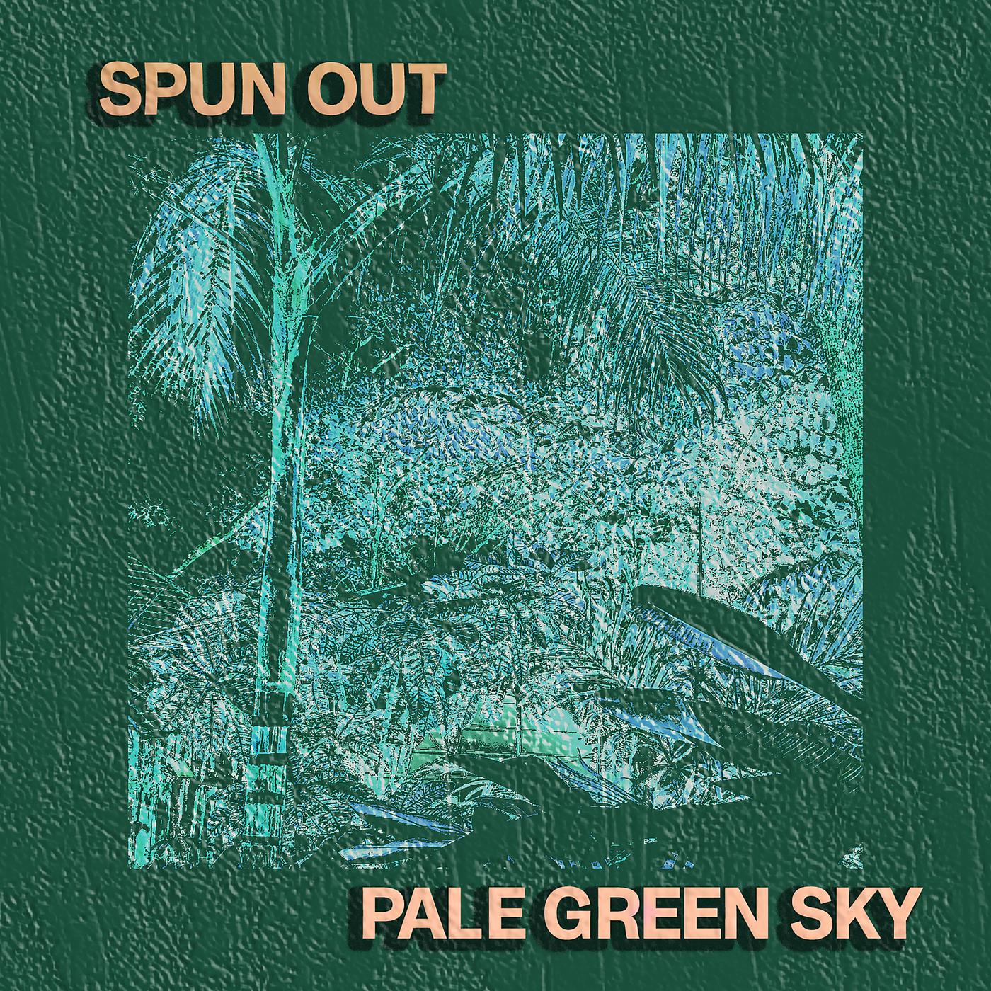 Постер альбома Pale Green Sky