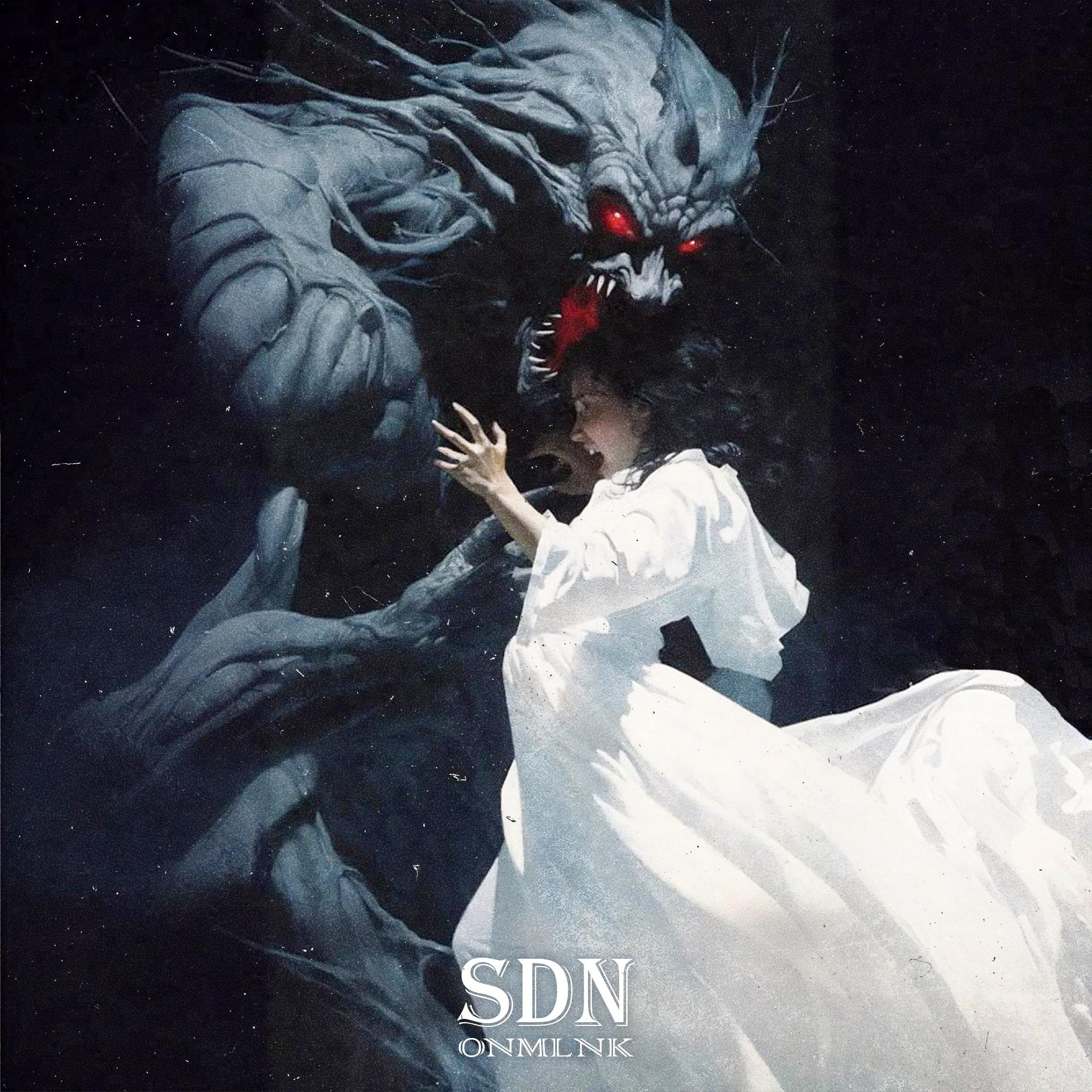 Постер альбома Sdn