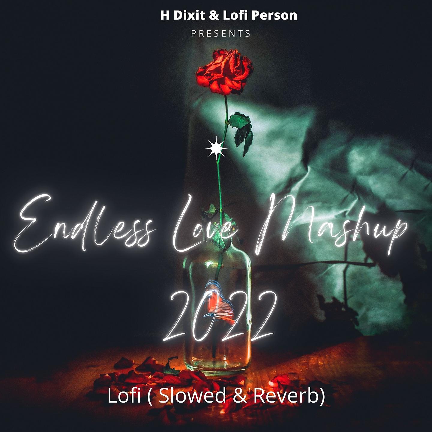 Постер альбома Endless Love Mashup 2022 Lofi (Slowed & Reverb)