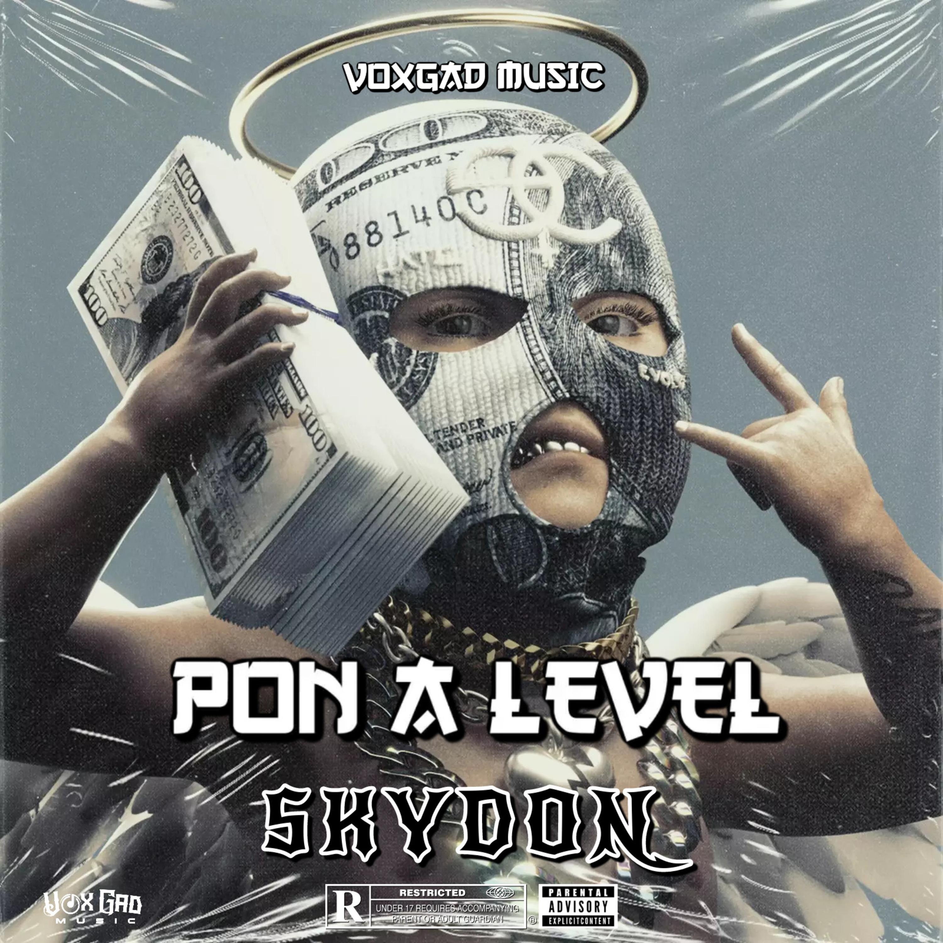 Постер альбома Pon a Level