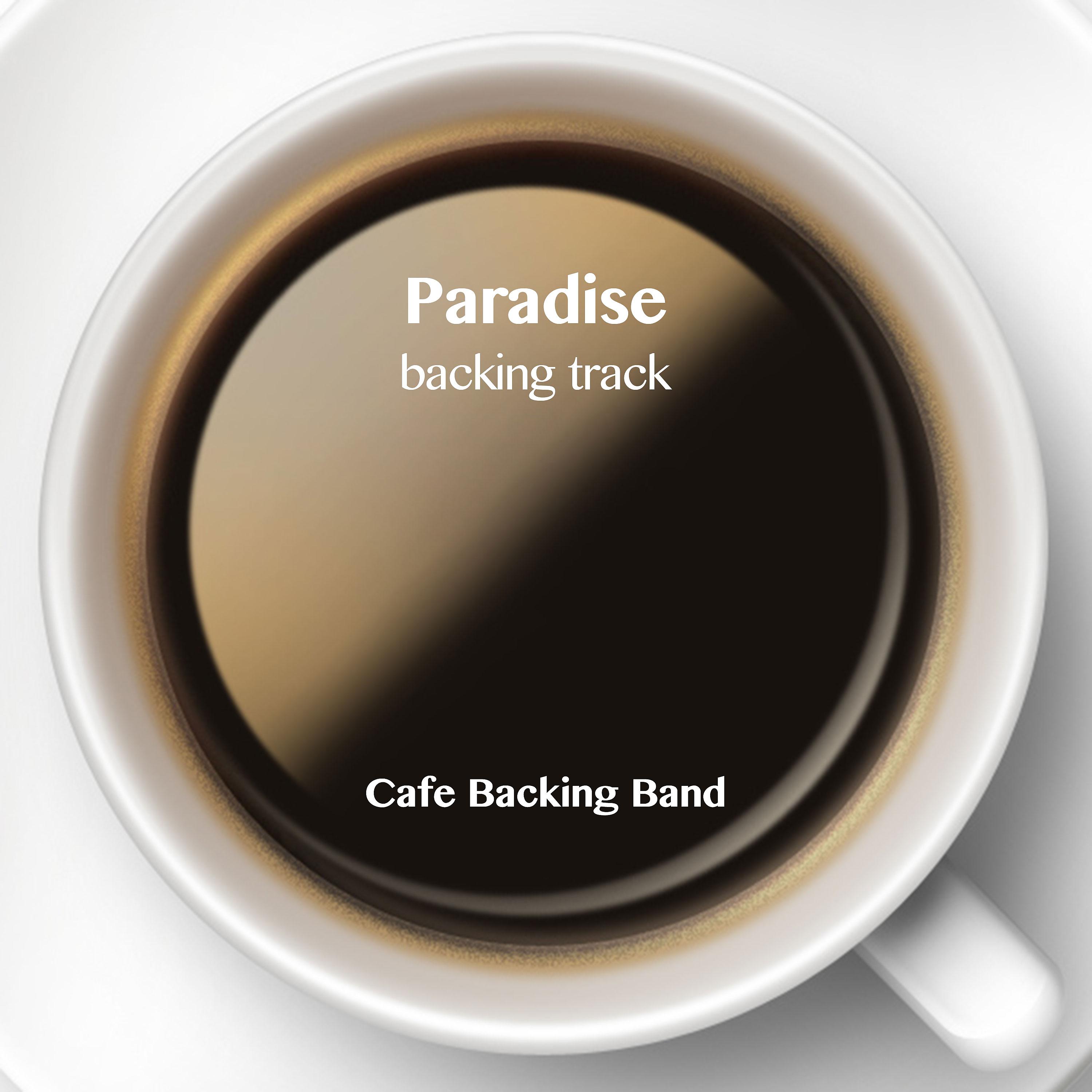 Постер альбома Paradise (Backing Track Instrumental Version)