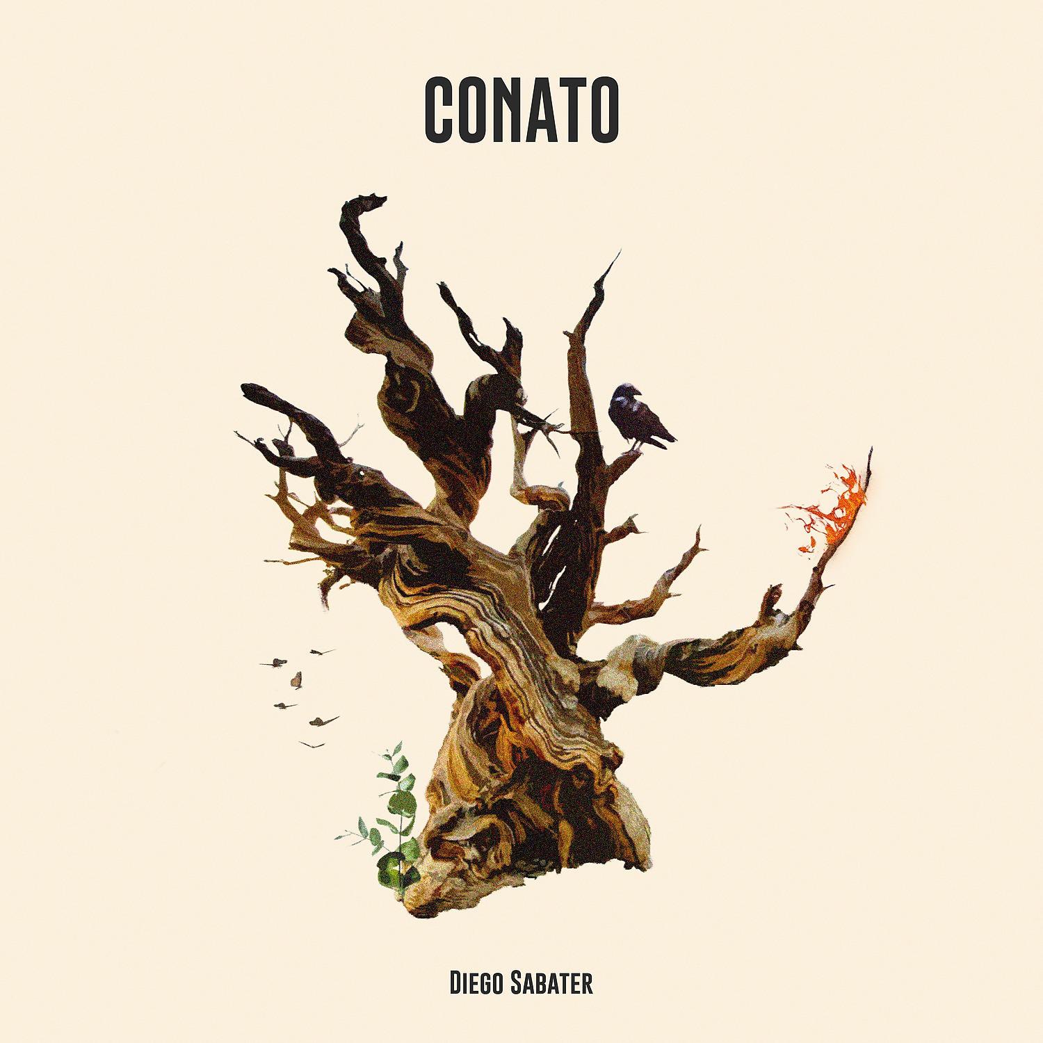 Постер альбома Conato