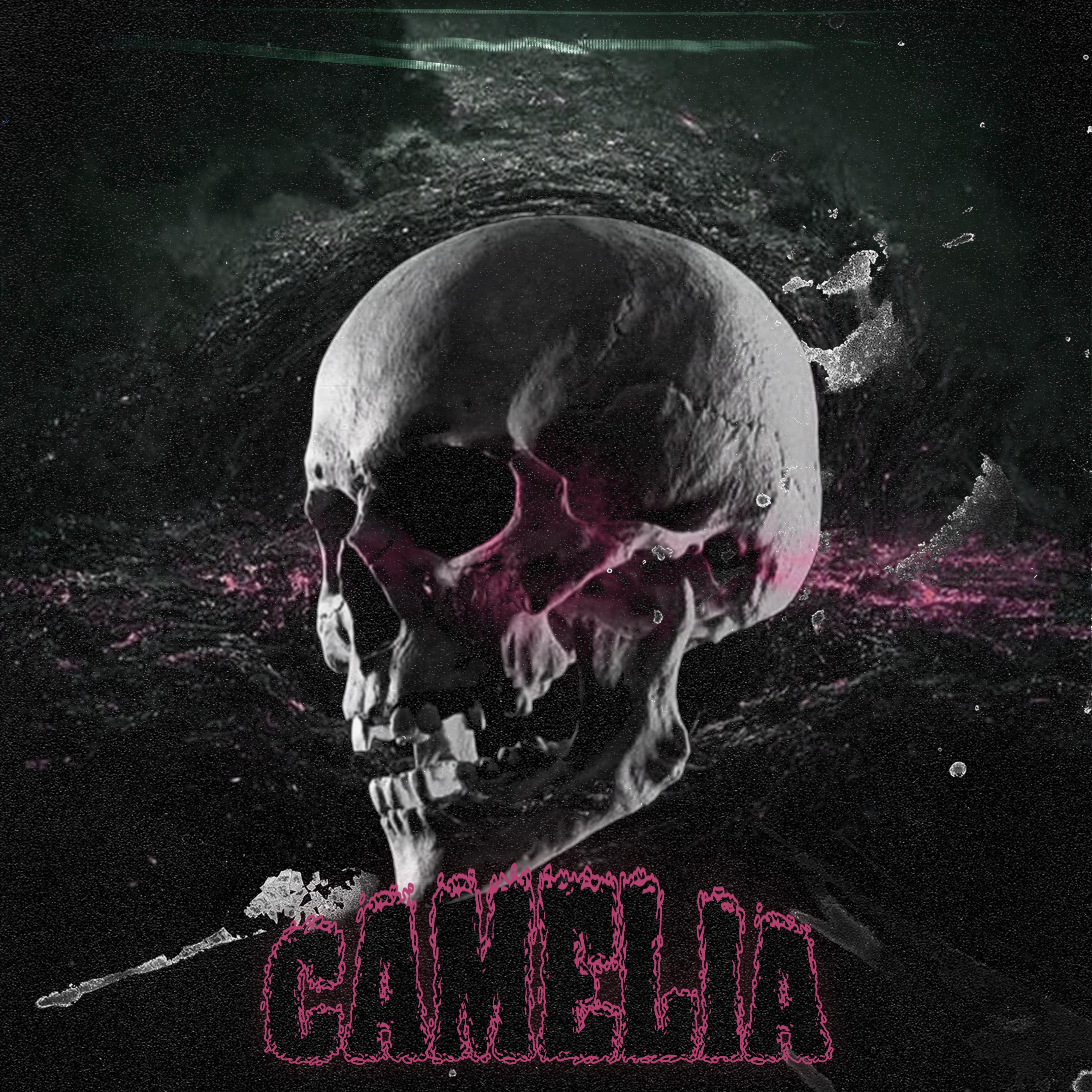 Постер альбома CAMELIA