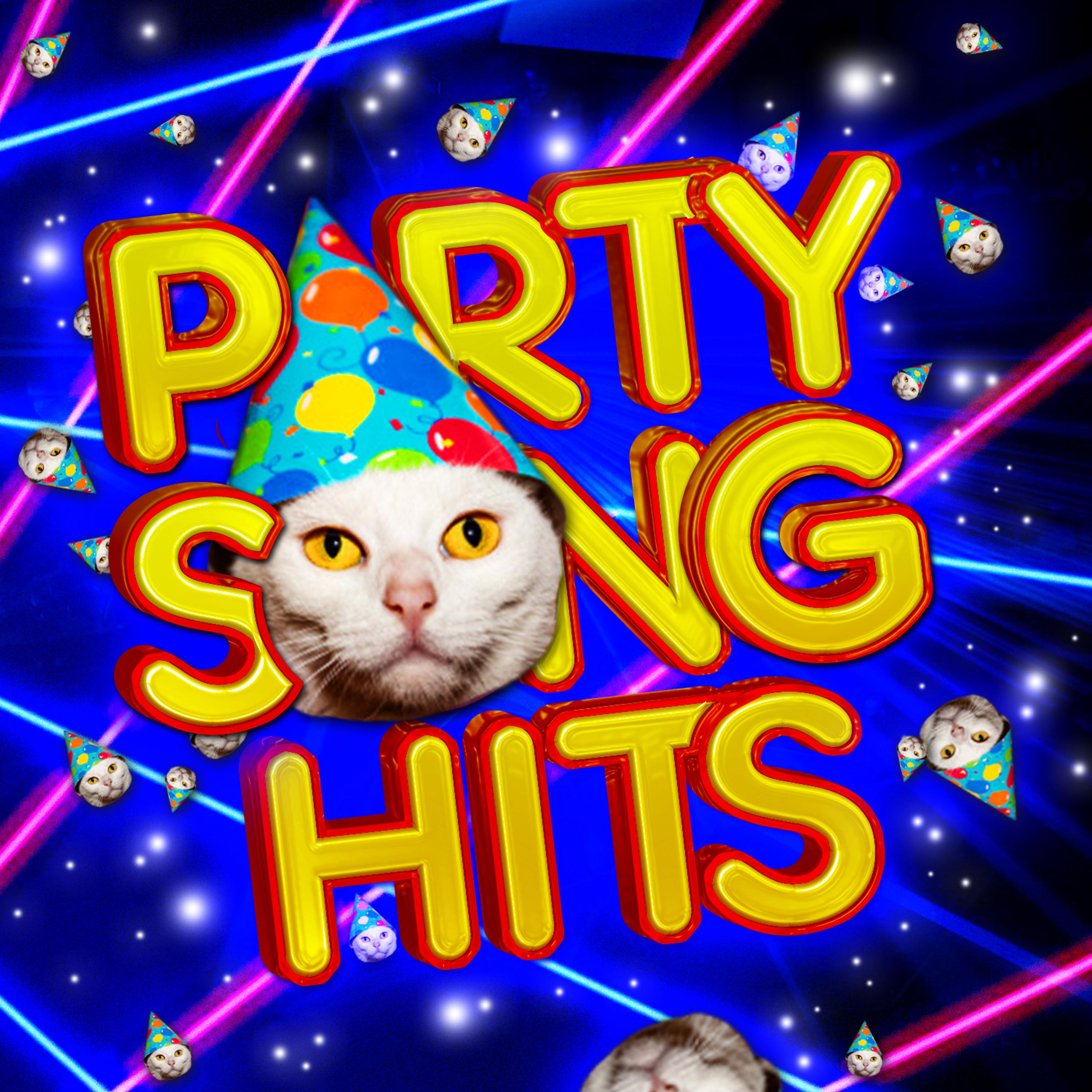 Постер альбома Party Songs Hits