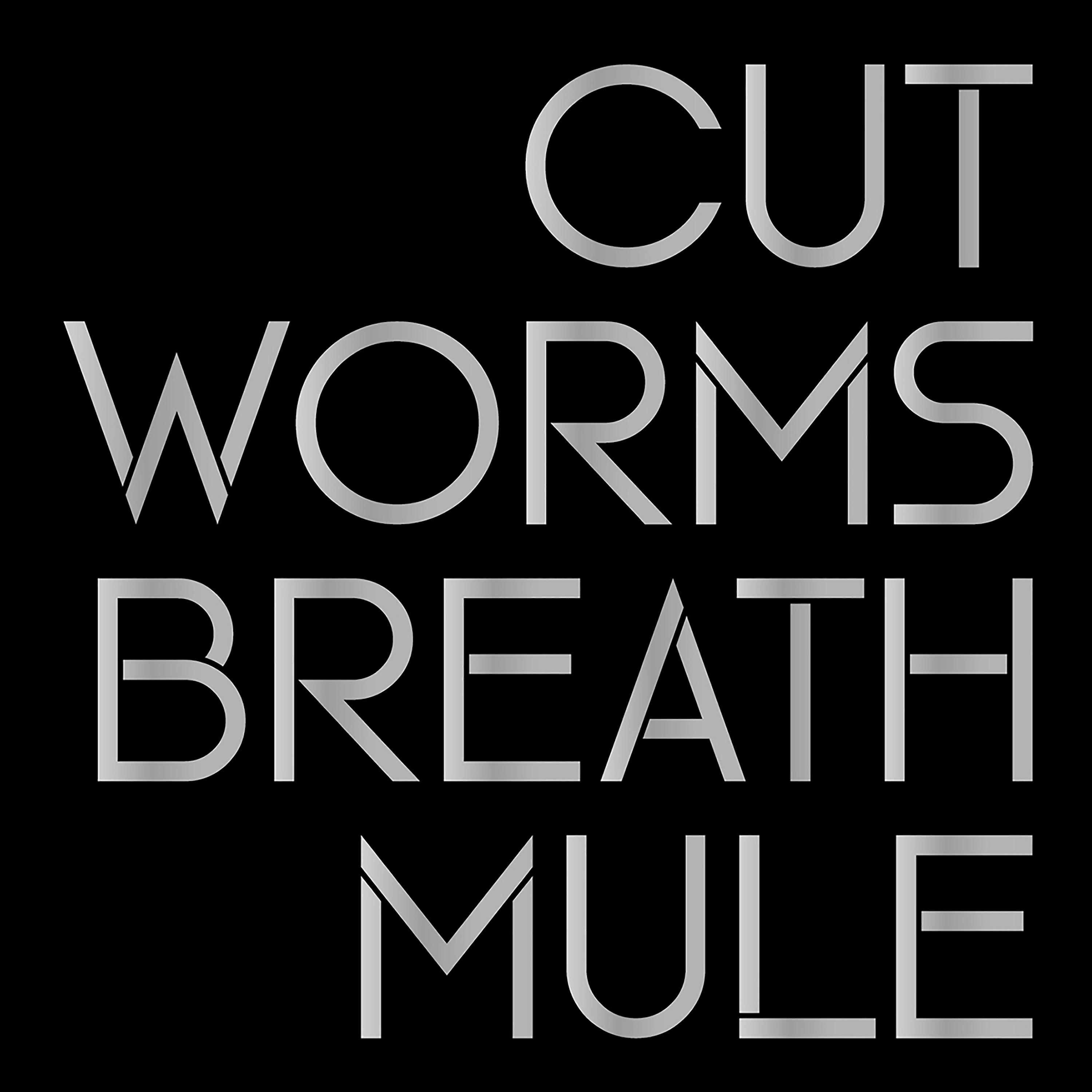 Постер альбома Breath Mule