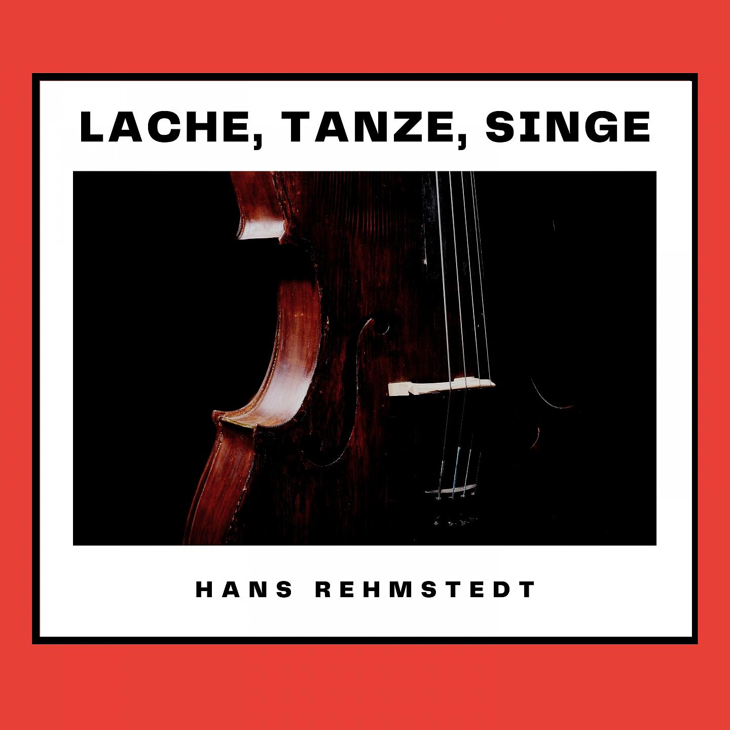 Постер альбома Lache, tanze, singe