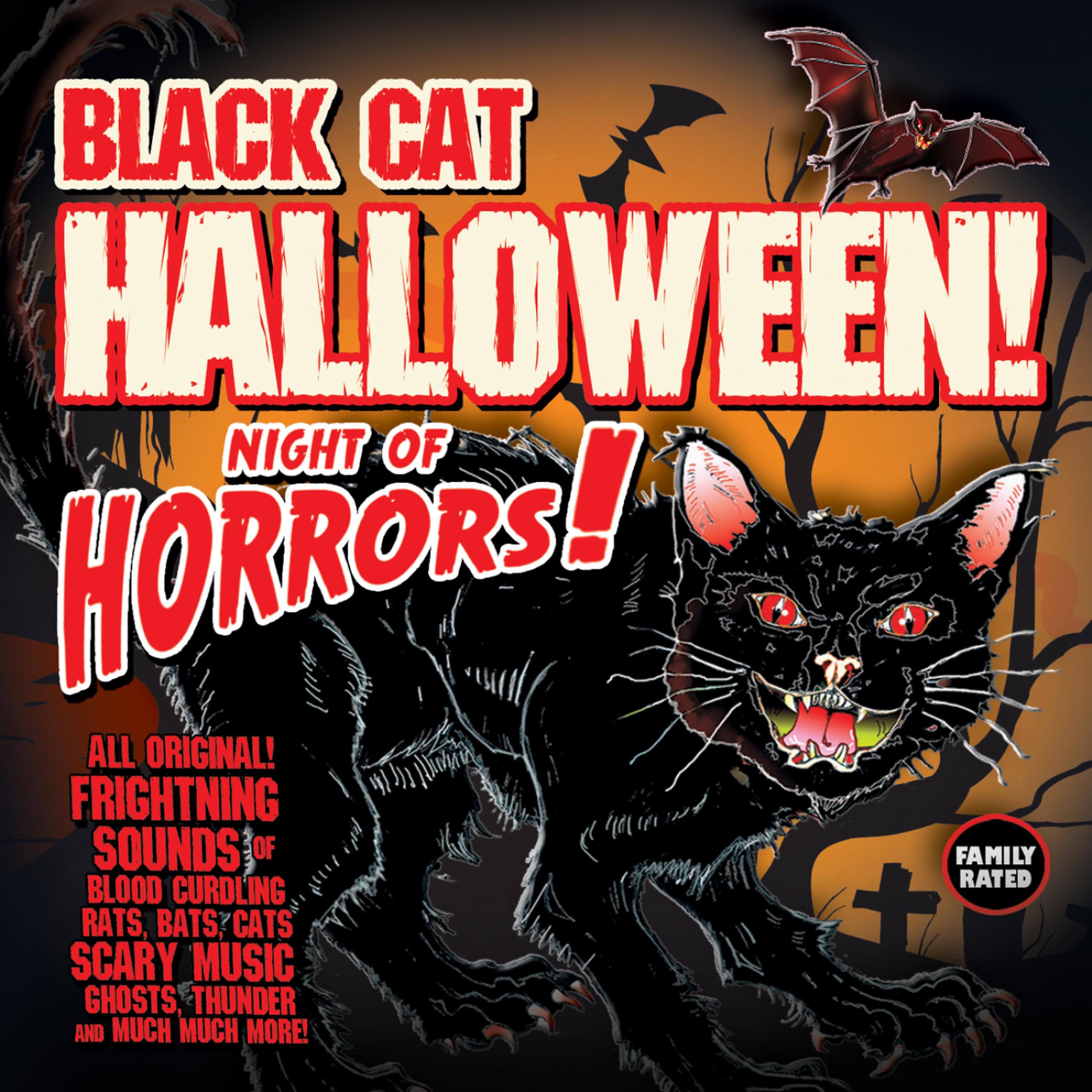 Постер альбома BLACK CAT HALLOWEEN!-Night of Horrors!