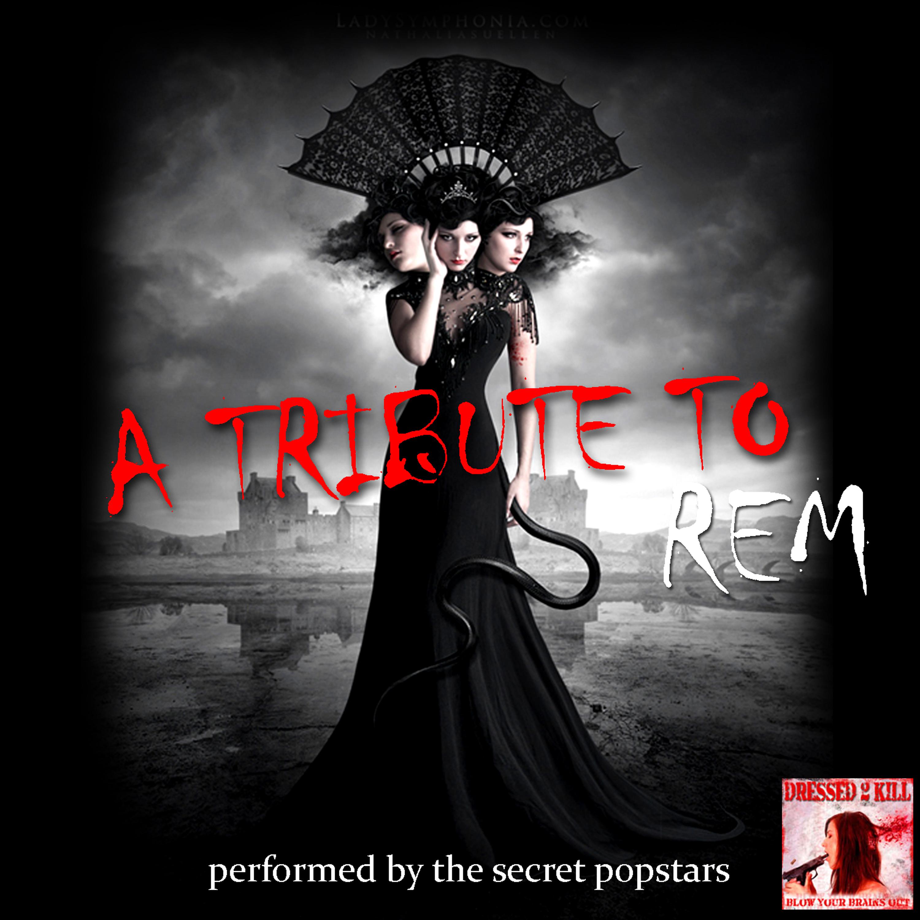 Постер альбома A Tribute to Rem