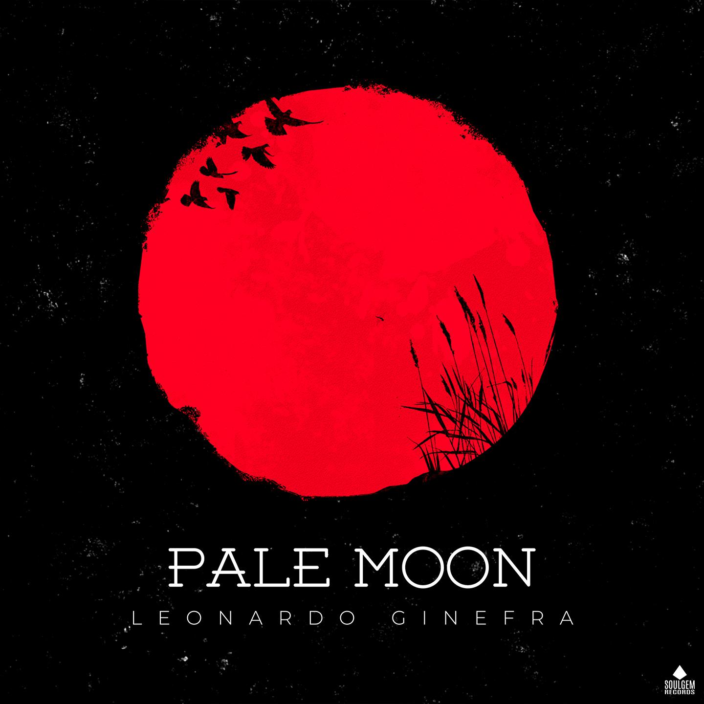 Постер альбома Pale Moon