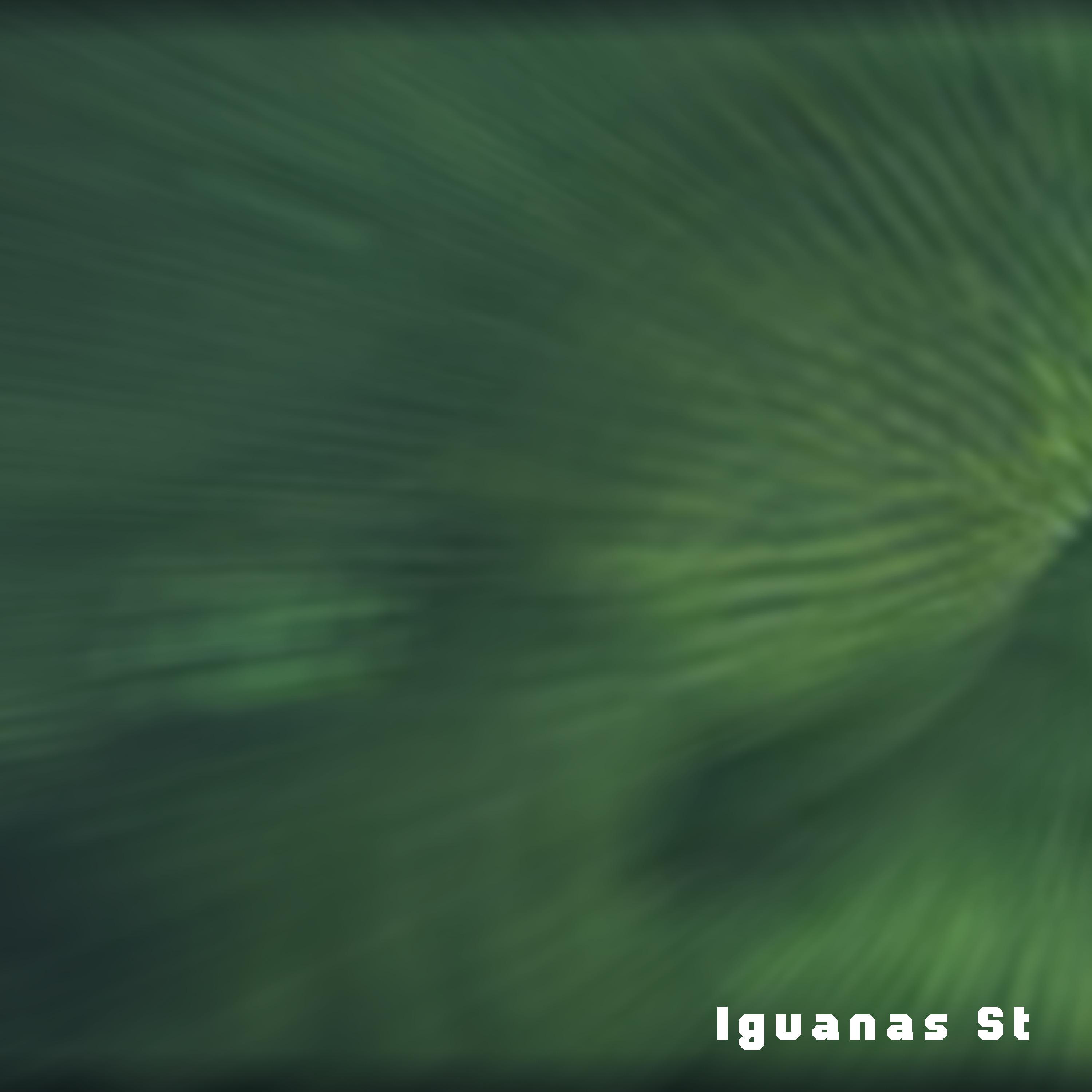 Постер альбома Iguanas St