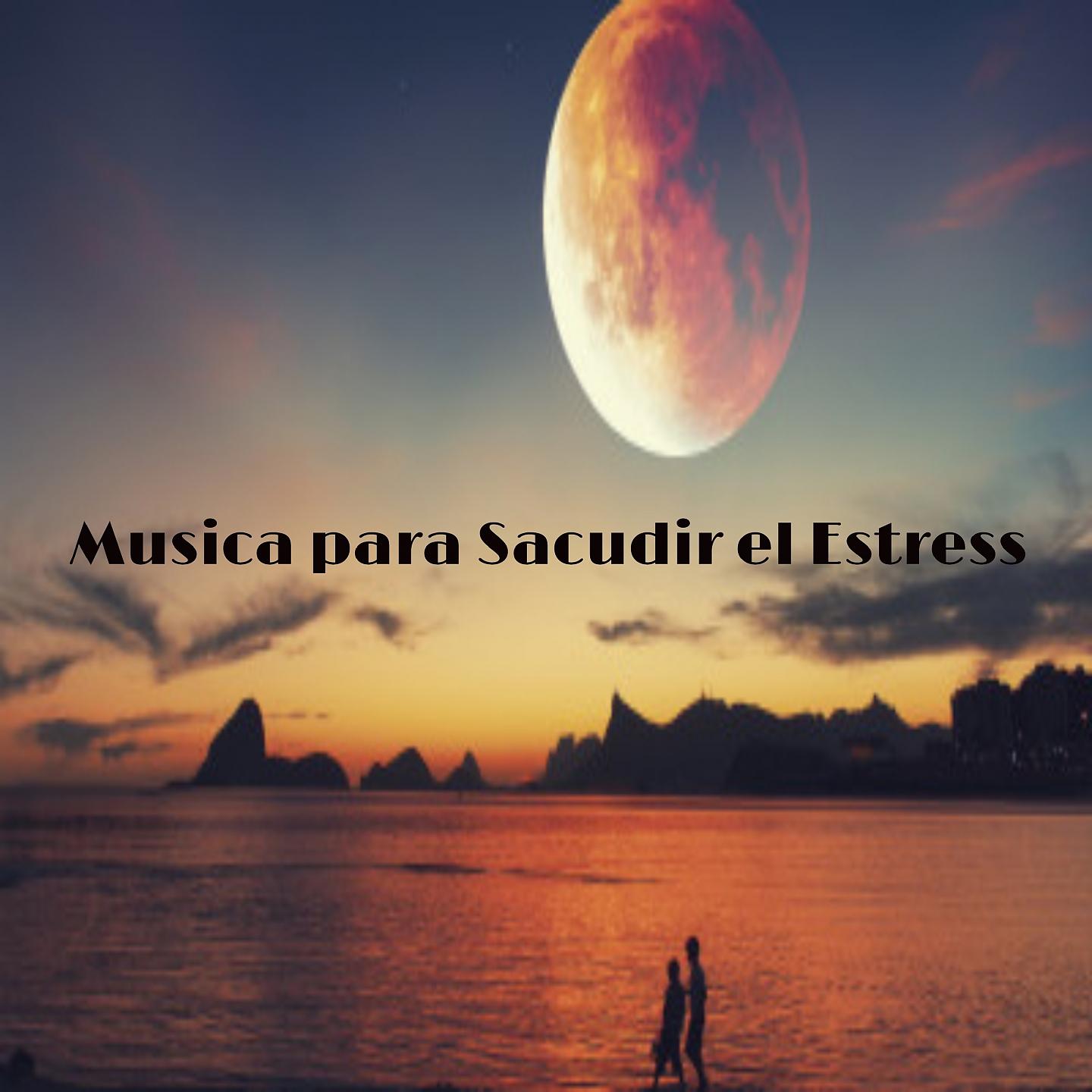 Постер альбома Musica para Sacudir el Estress