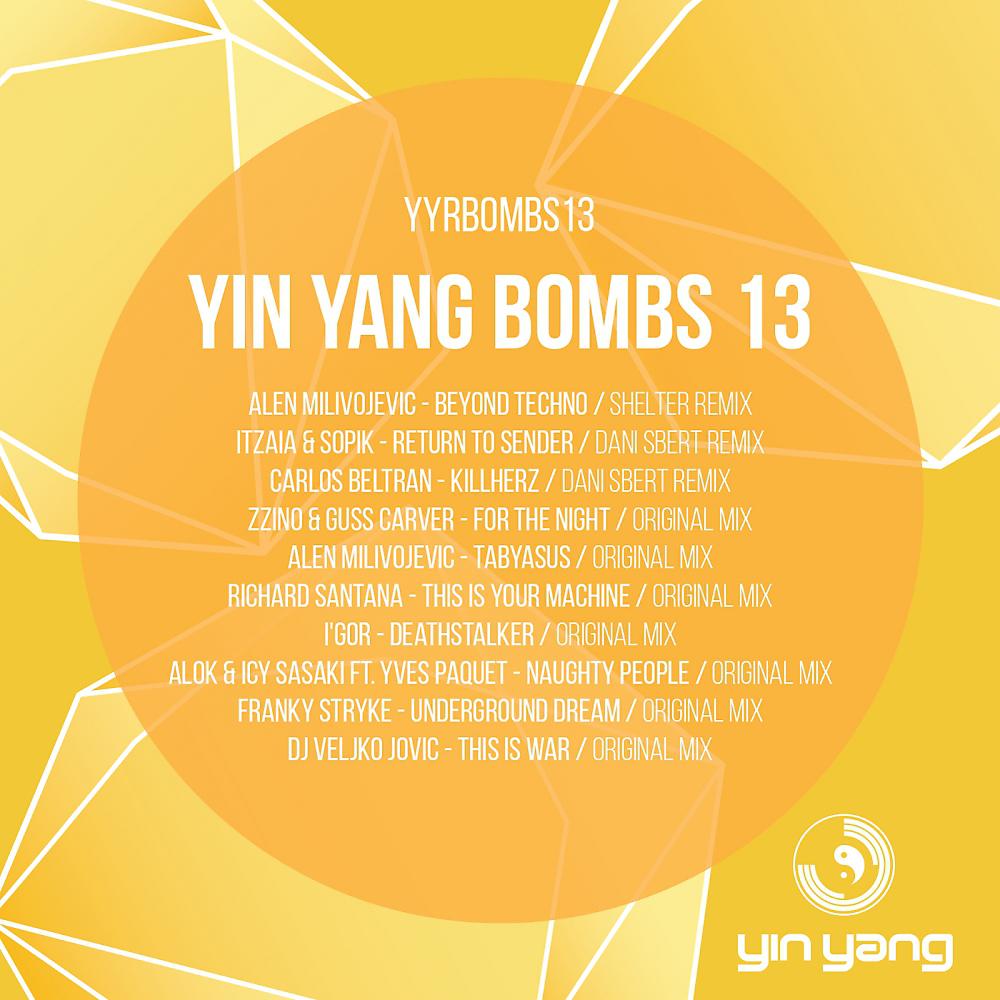 Постер альбома Yin Yang Bombs: Compilation 13