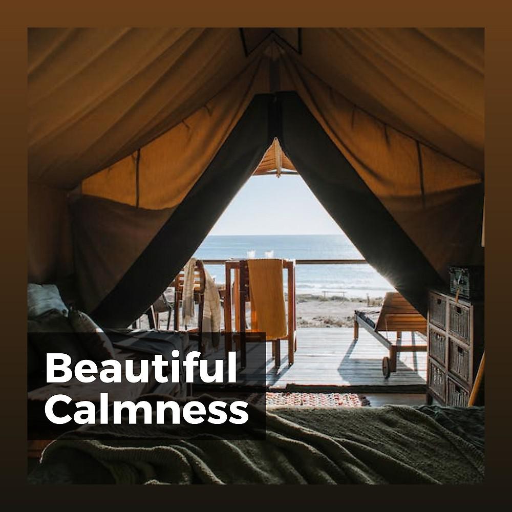 Постер альбома Beautiful Calmness