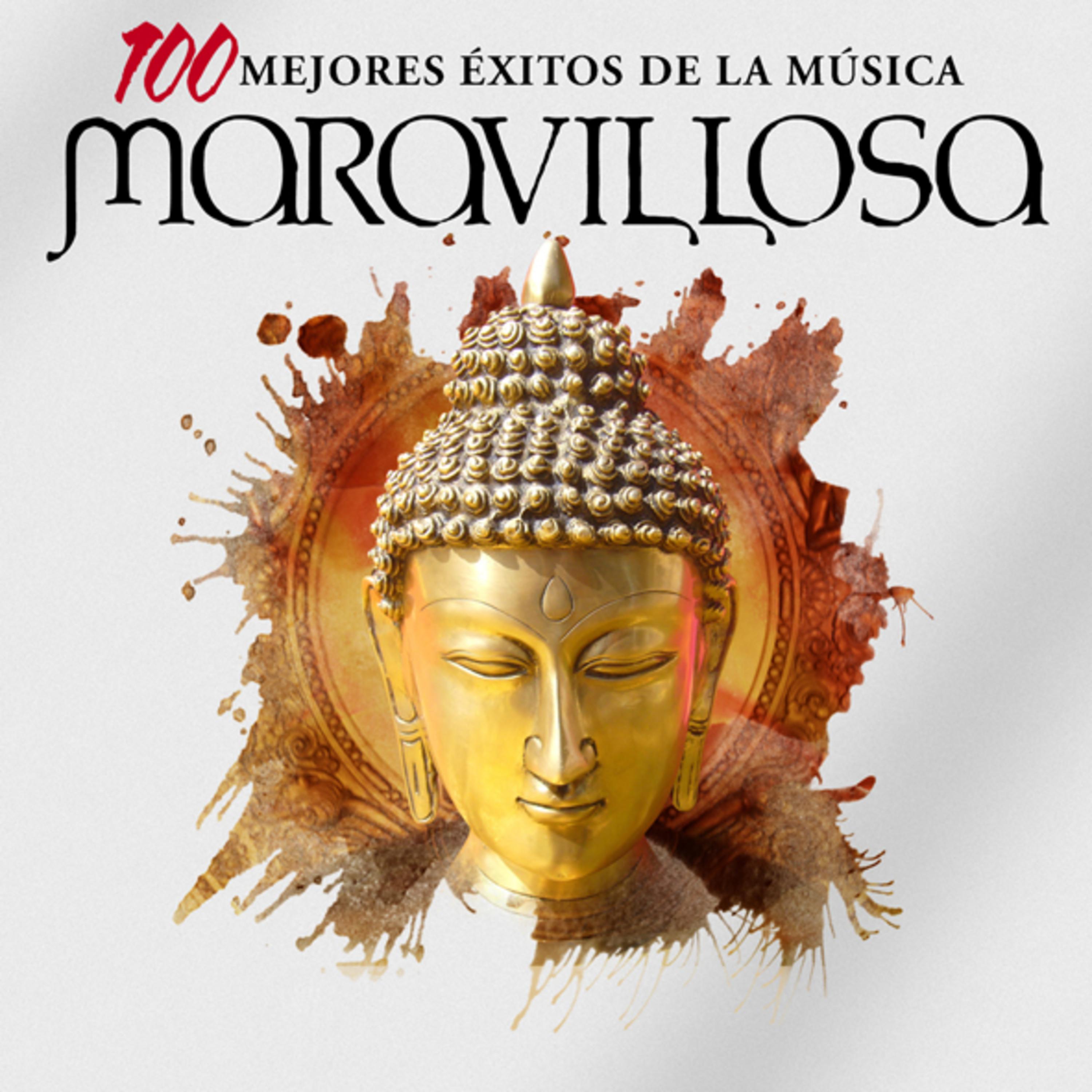 Постер альбома Las 100 Mejores Éxitos de la Música Maravillosa