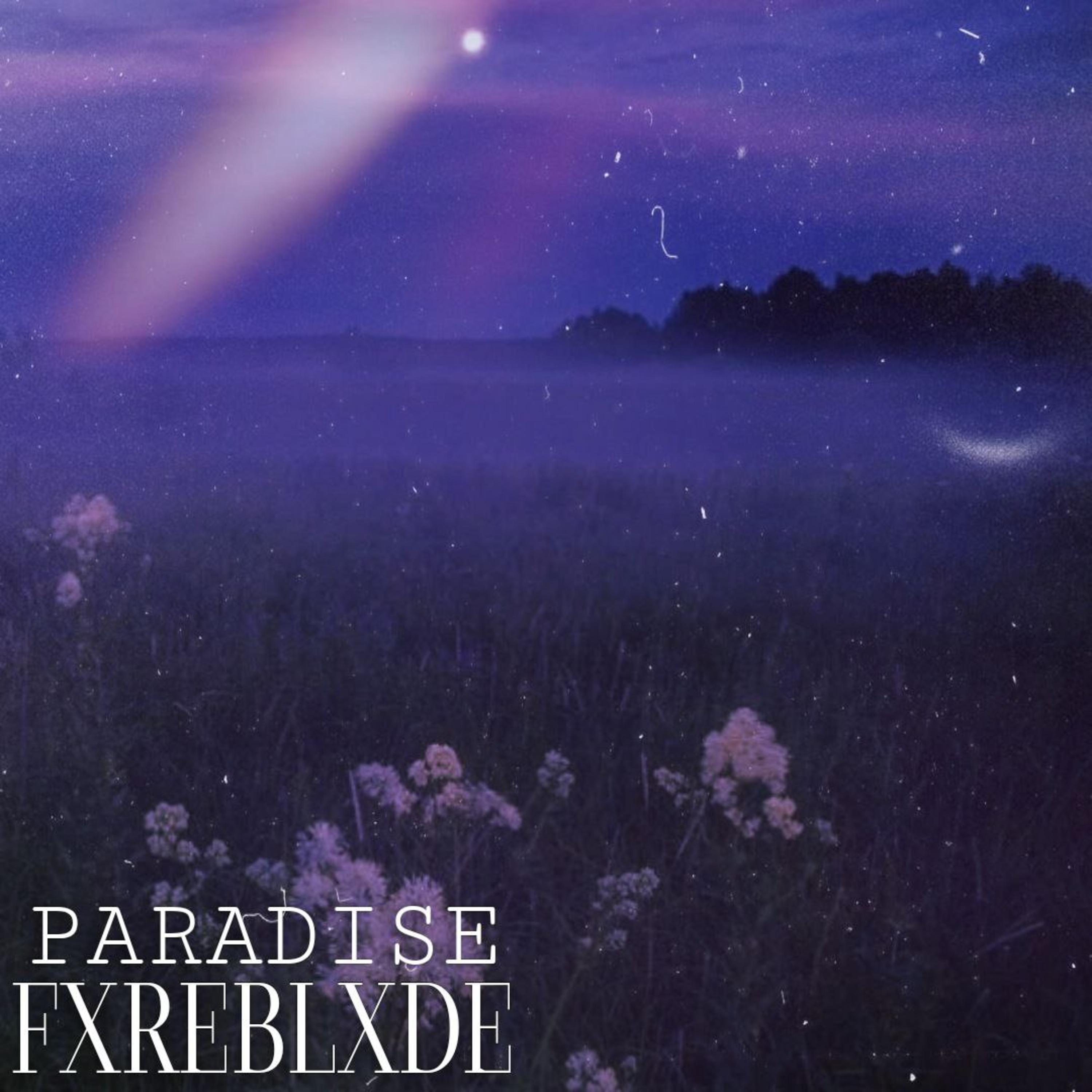 Постер альбома Paradice