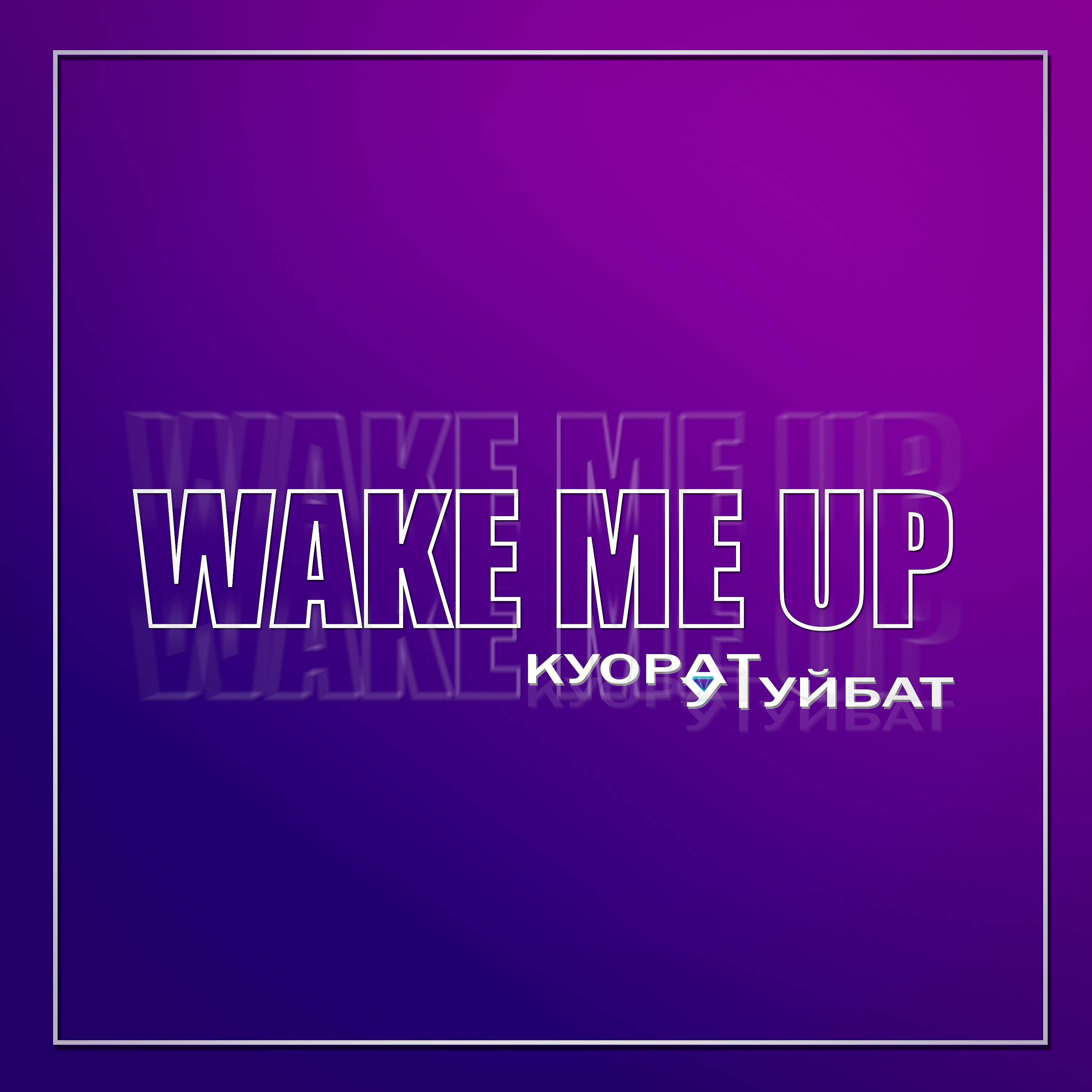 Постер альбома Wake me up (Куорат утуйбат)