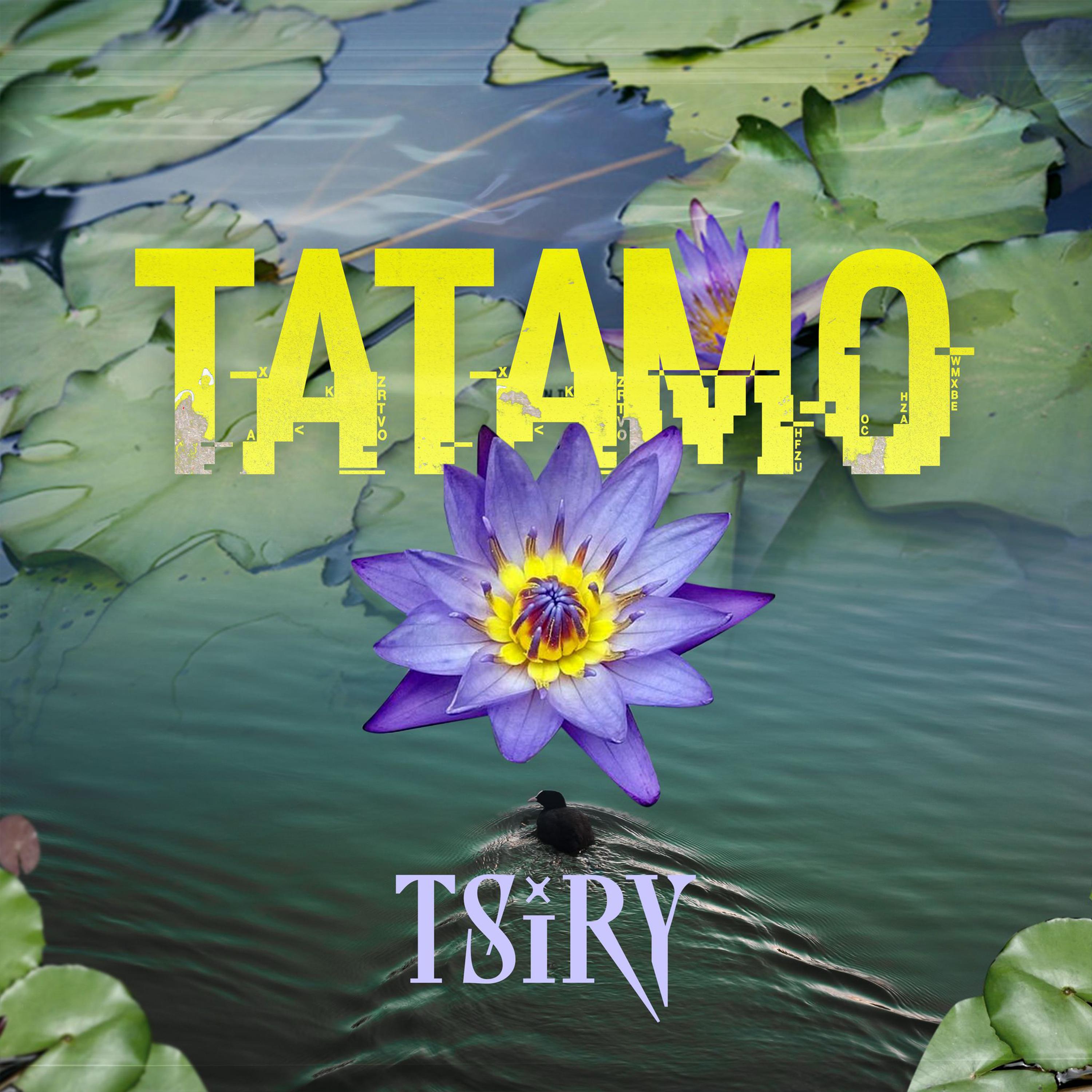 Постер альбома Tatamo