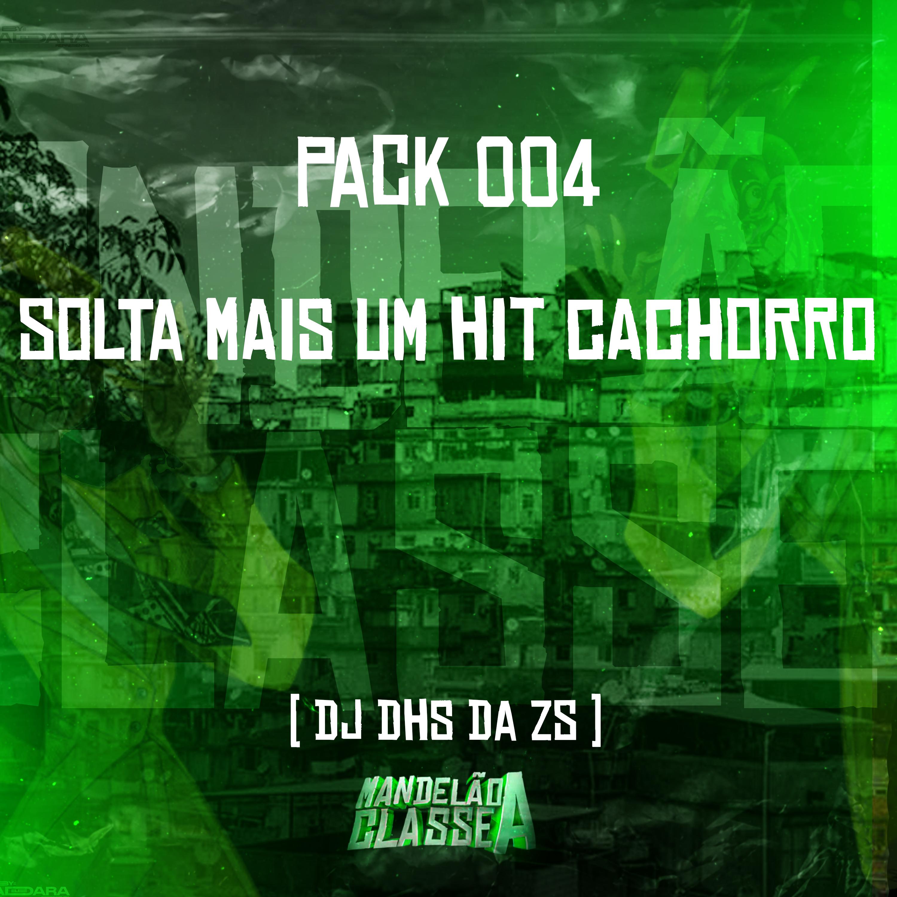 Постер альбома Pack 004   Solta Mais um Hit Cachorro