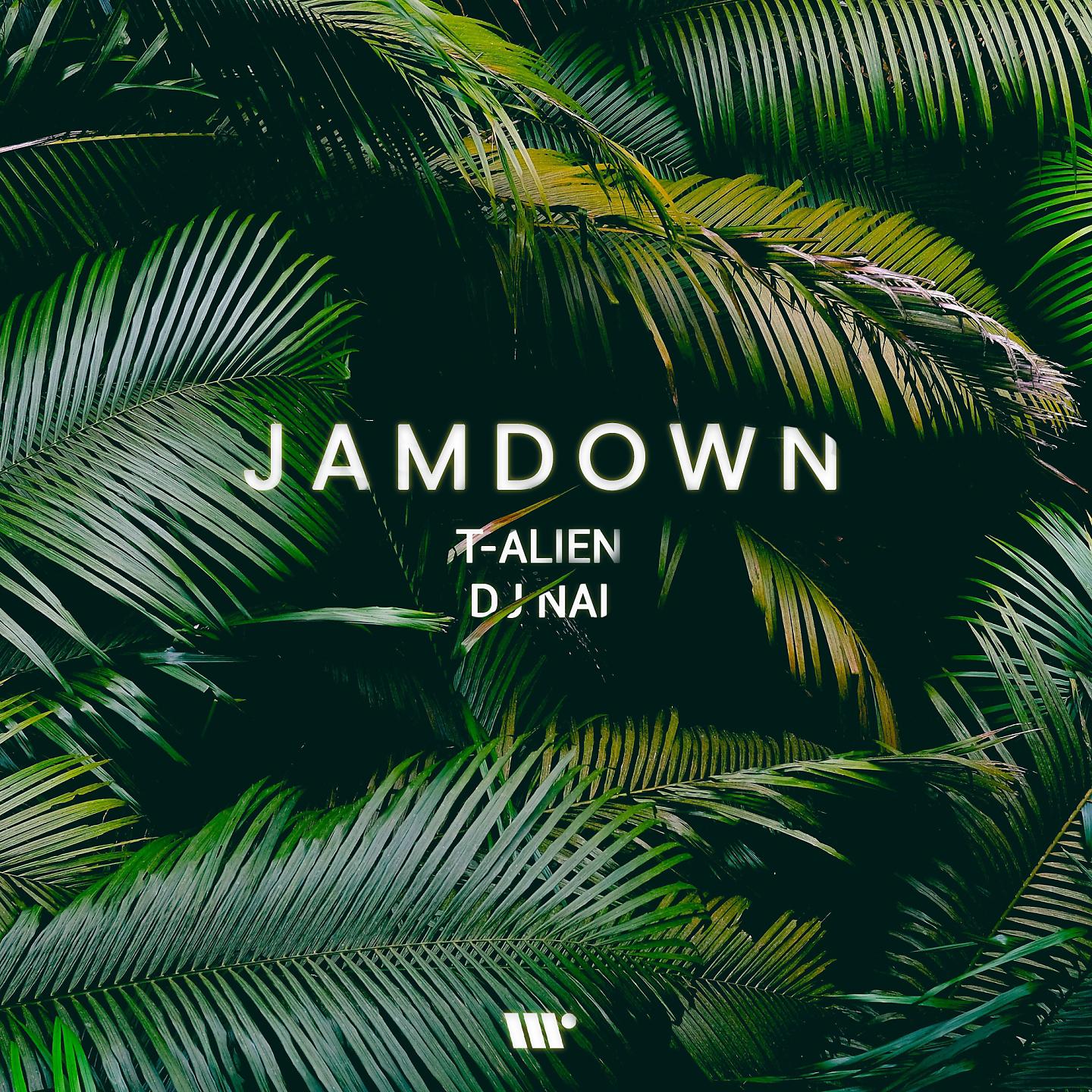 Постер альбома Jamdown