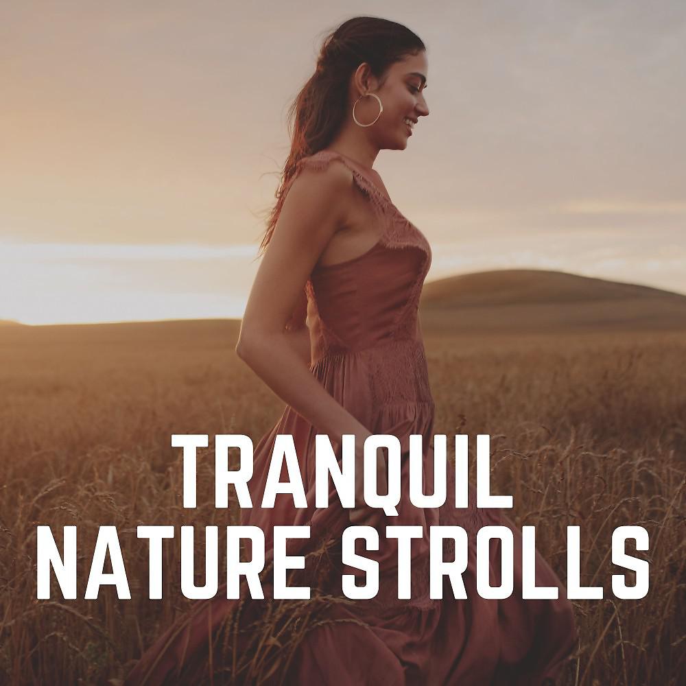 Постер альбома Tranquil Nature Strolls